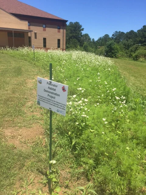 Pollinator Habitat sponsored by the Catoosa County Conservation District and USDA- NRCS.