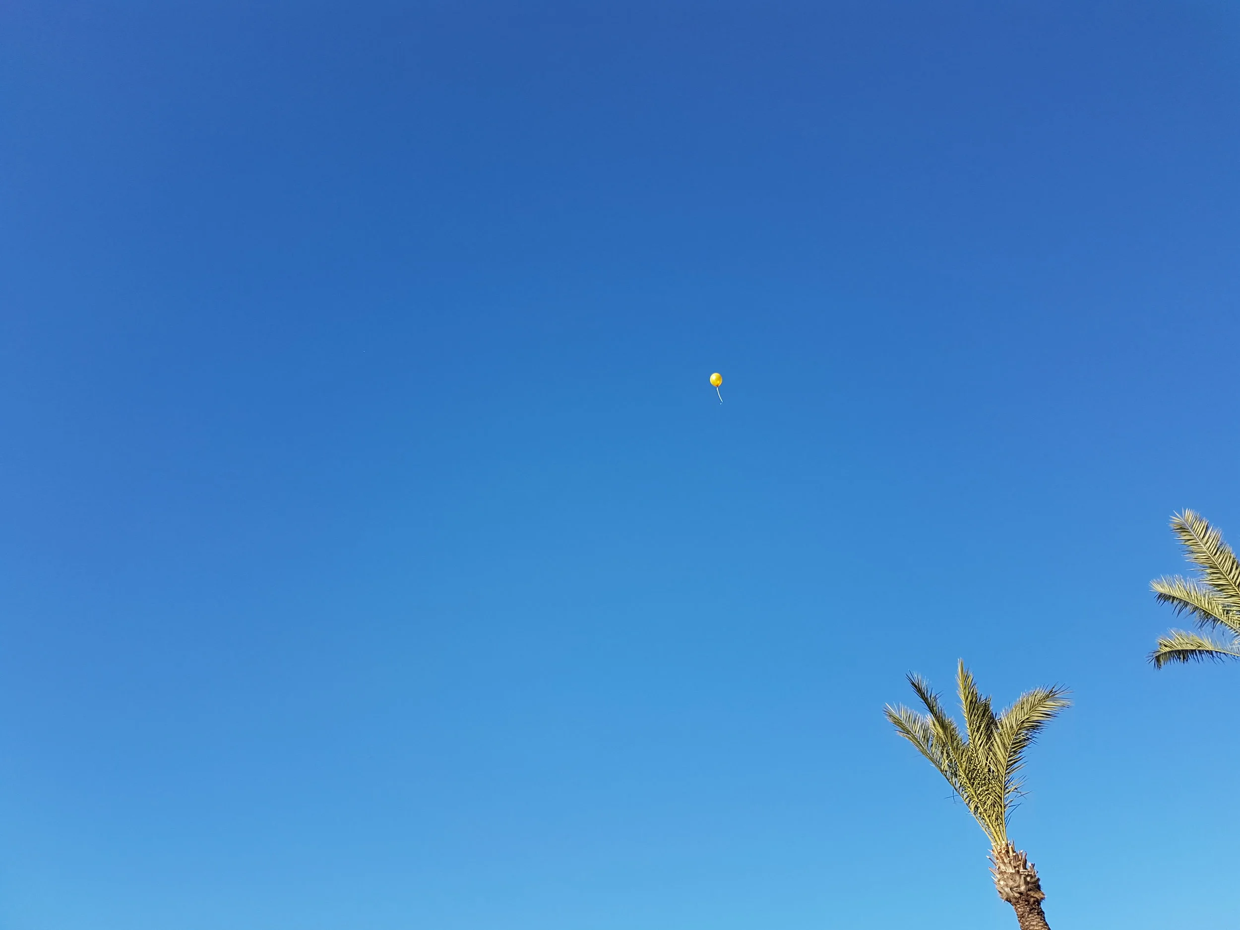 Tel_Aviv_Ballon (4).jpg