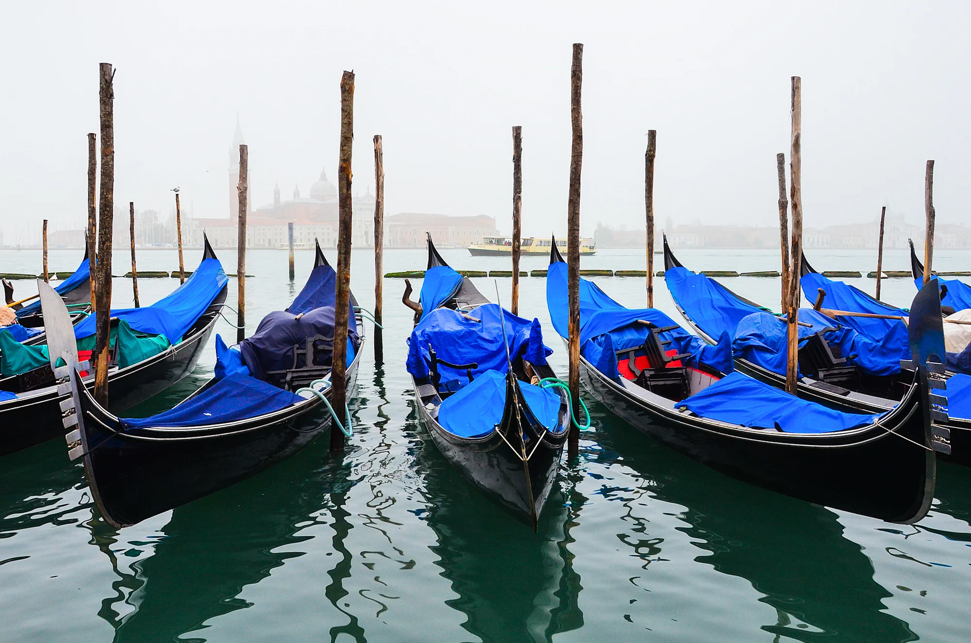 Kelly Sandos gondolas at San Marco's Square Venice, Italy