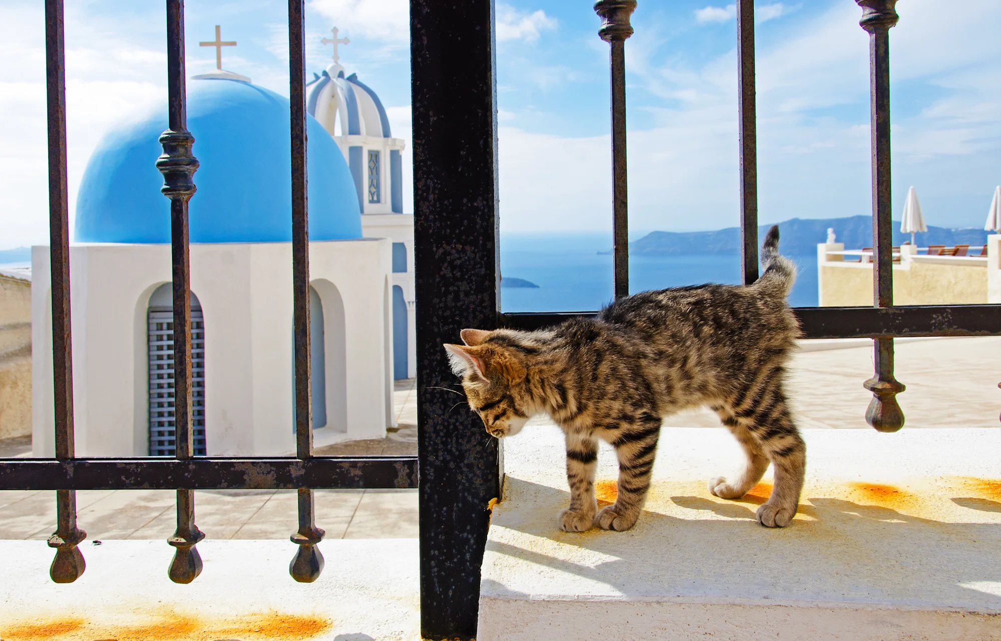 Kelly Sandos Santorini blue church dome with caldera view