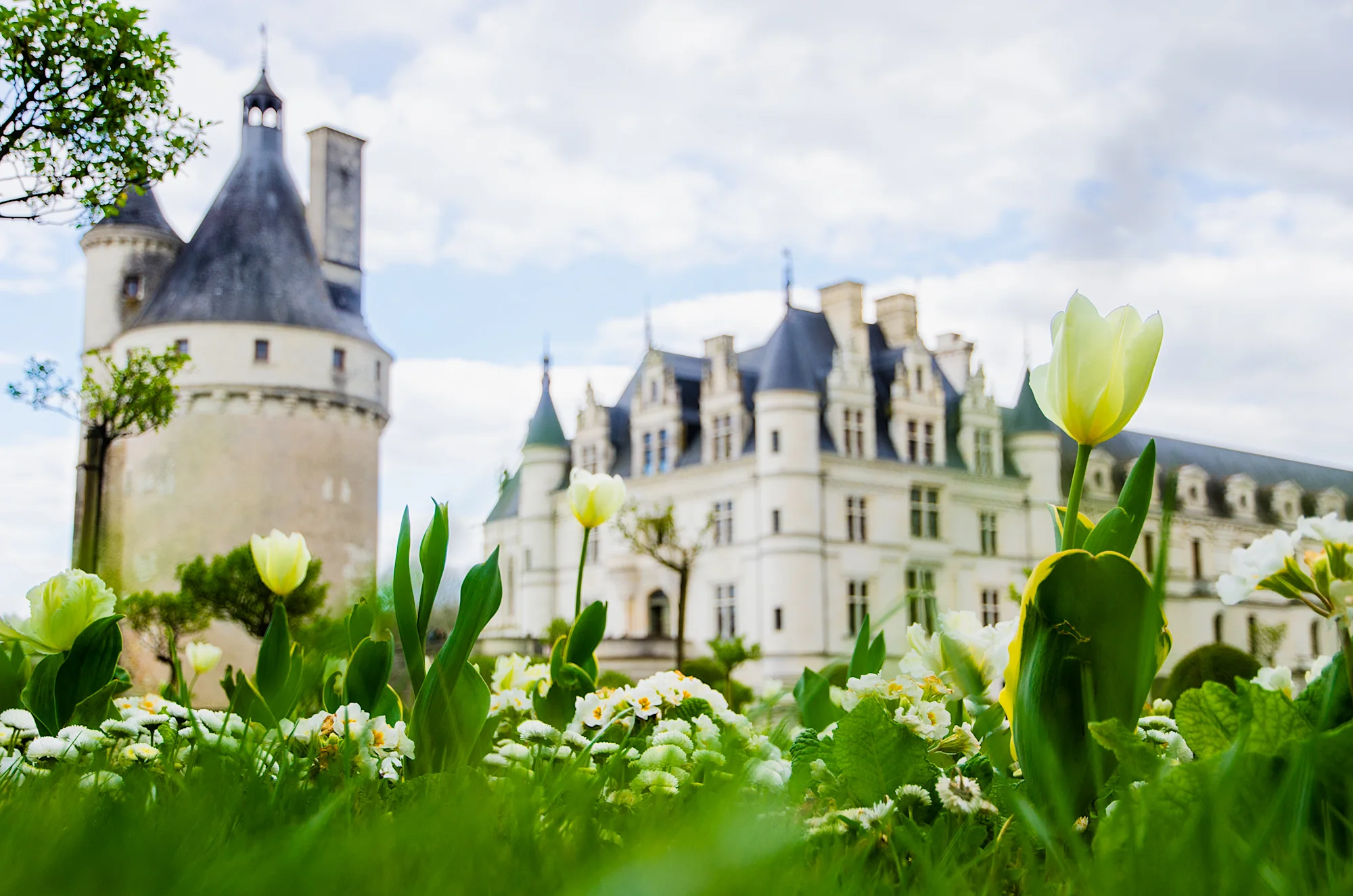 Kelly Sandos springtime at Chateau Chenonceau Loire Valley, France