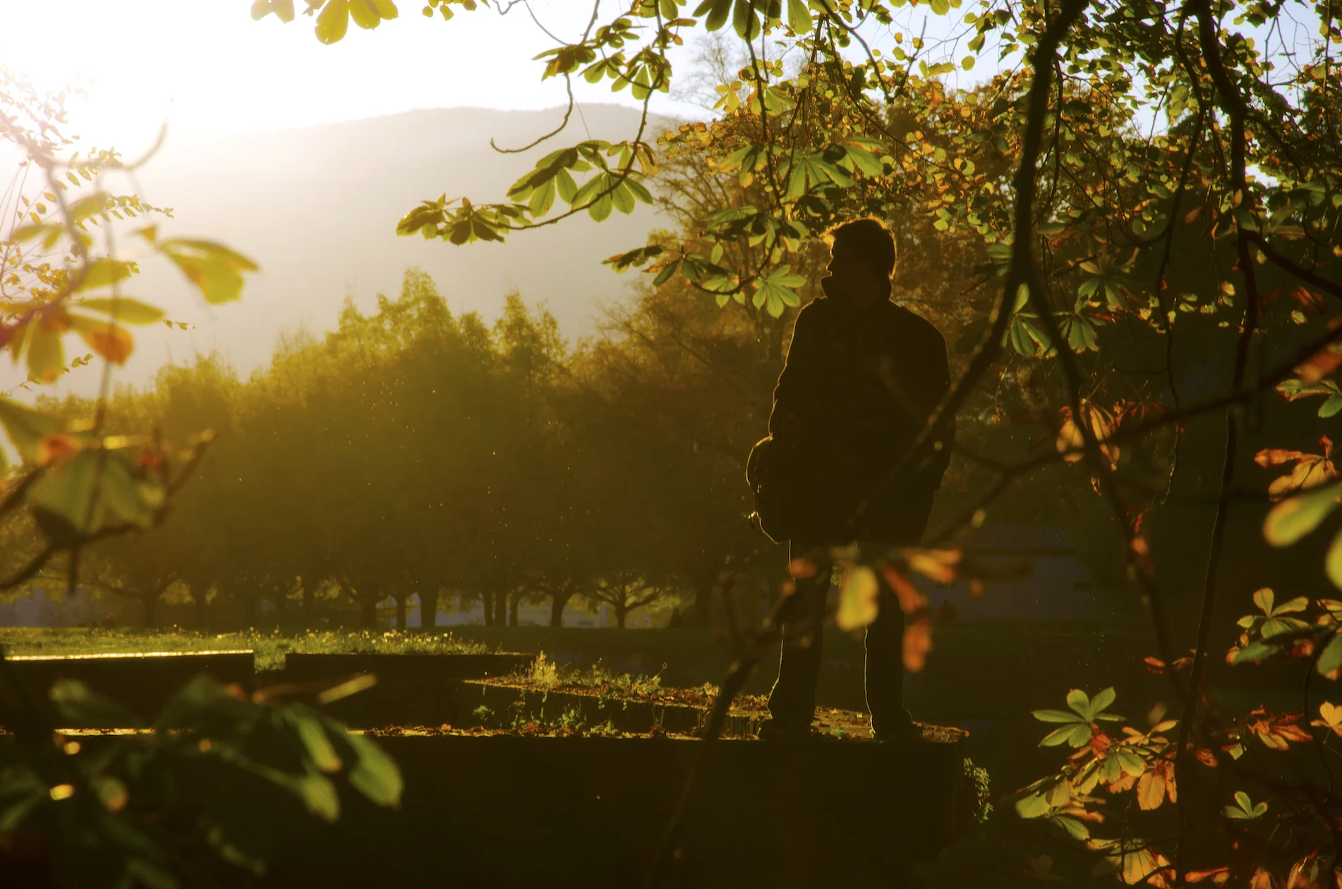 Kelly Sandos golden hour in Lucca, Italy