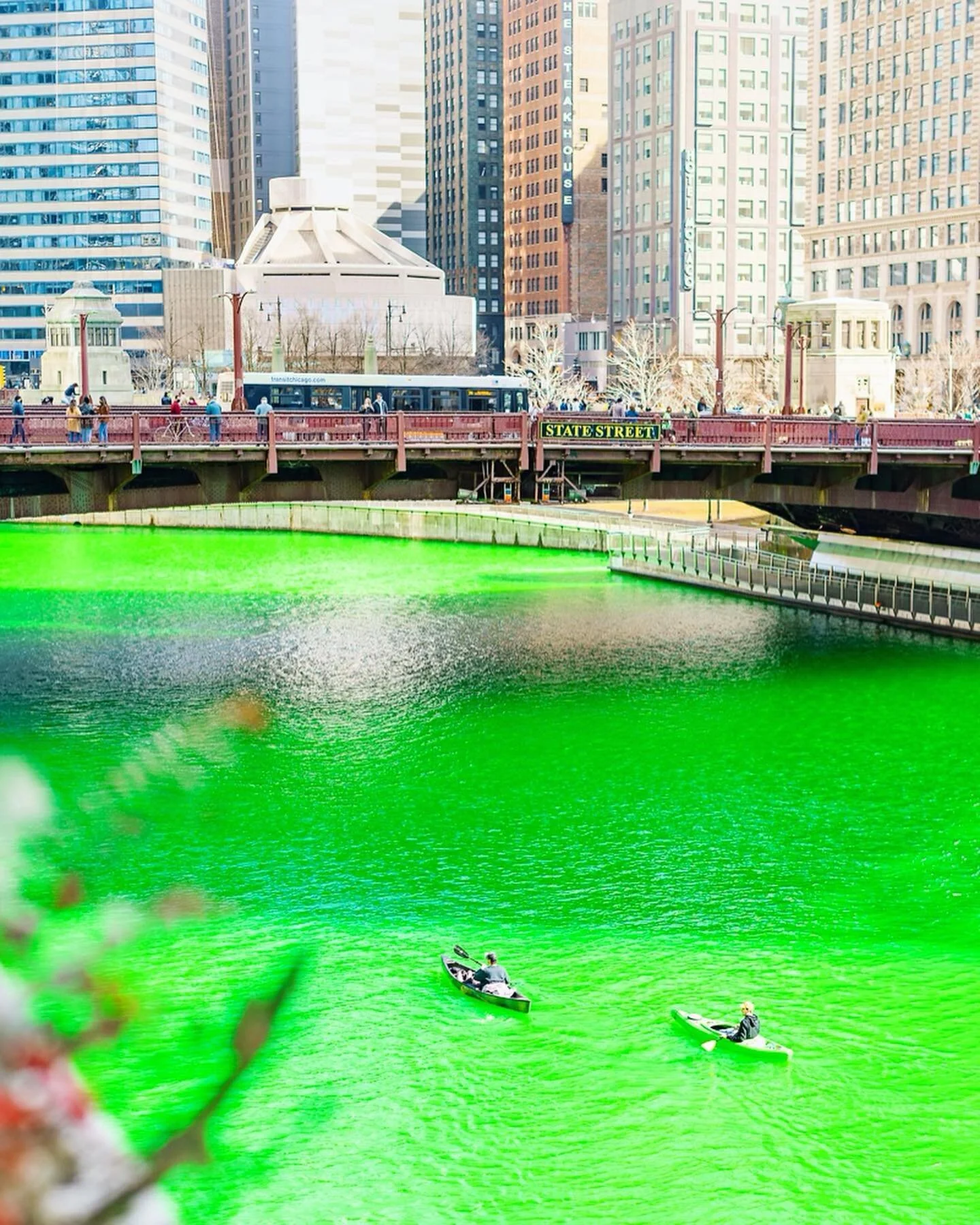 This year is my first in Chicago where I was able to see the Green River (if you think it&rsquo;s nerdy - you suck, it&rsquo;s still cool... Jon). For the past 7-8 years, I&rsquo;ve spent Paddy&rsquo;s working service. It&rsquo;s been crazy long hour