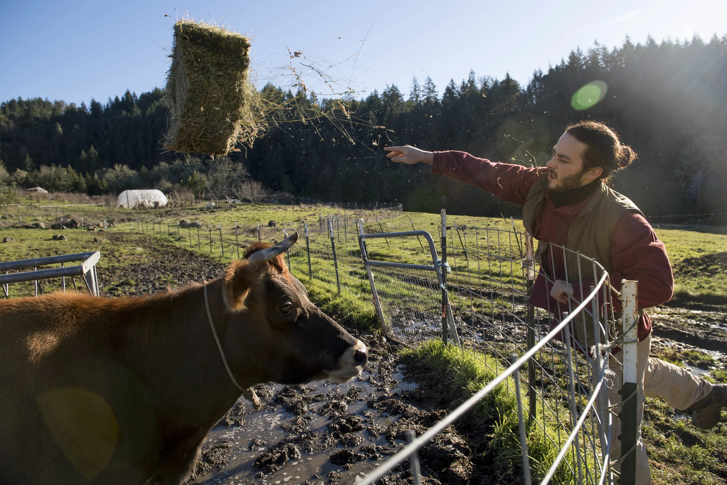 Jacob on his family farm in Roseburg, Oregon. Photo: Robin Loznak