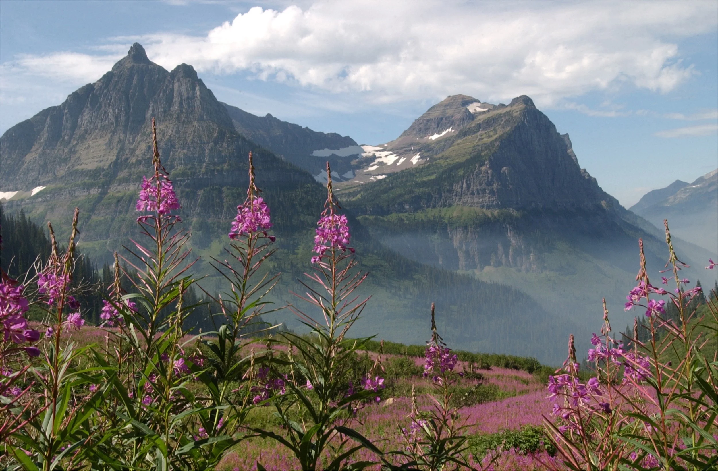 Glacier National Park in Montana.jpg