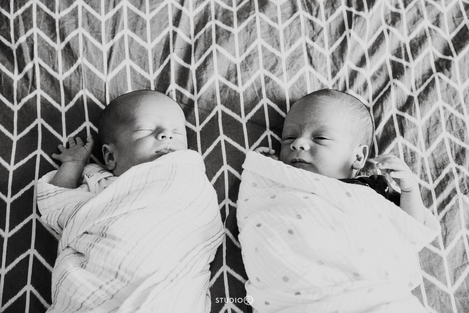 Studio-312-Photographer-Family-Session-Twin-Babies-Winnipeg-Photographer-8.jpg