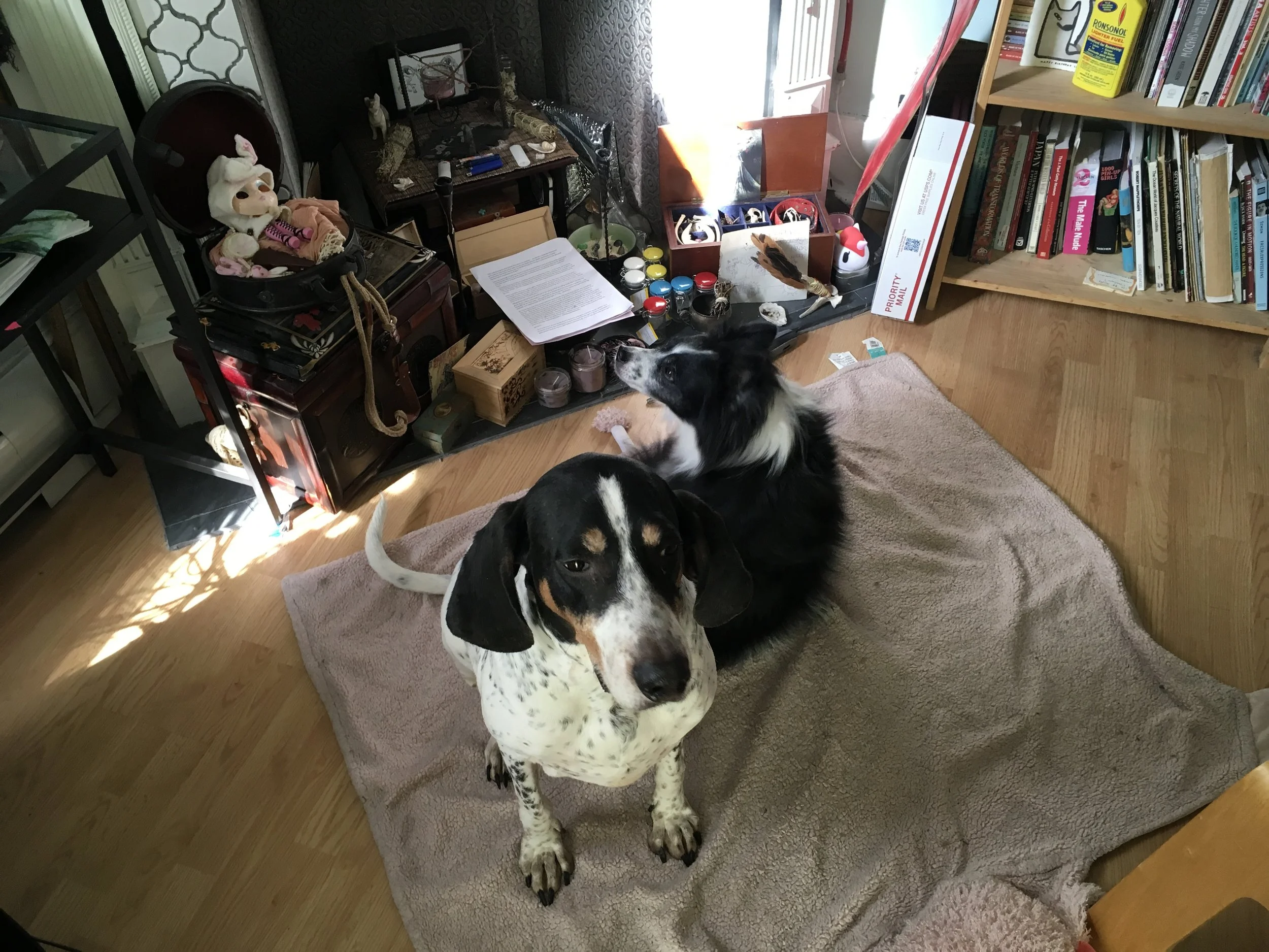 Ride My Righteous Wave