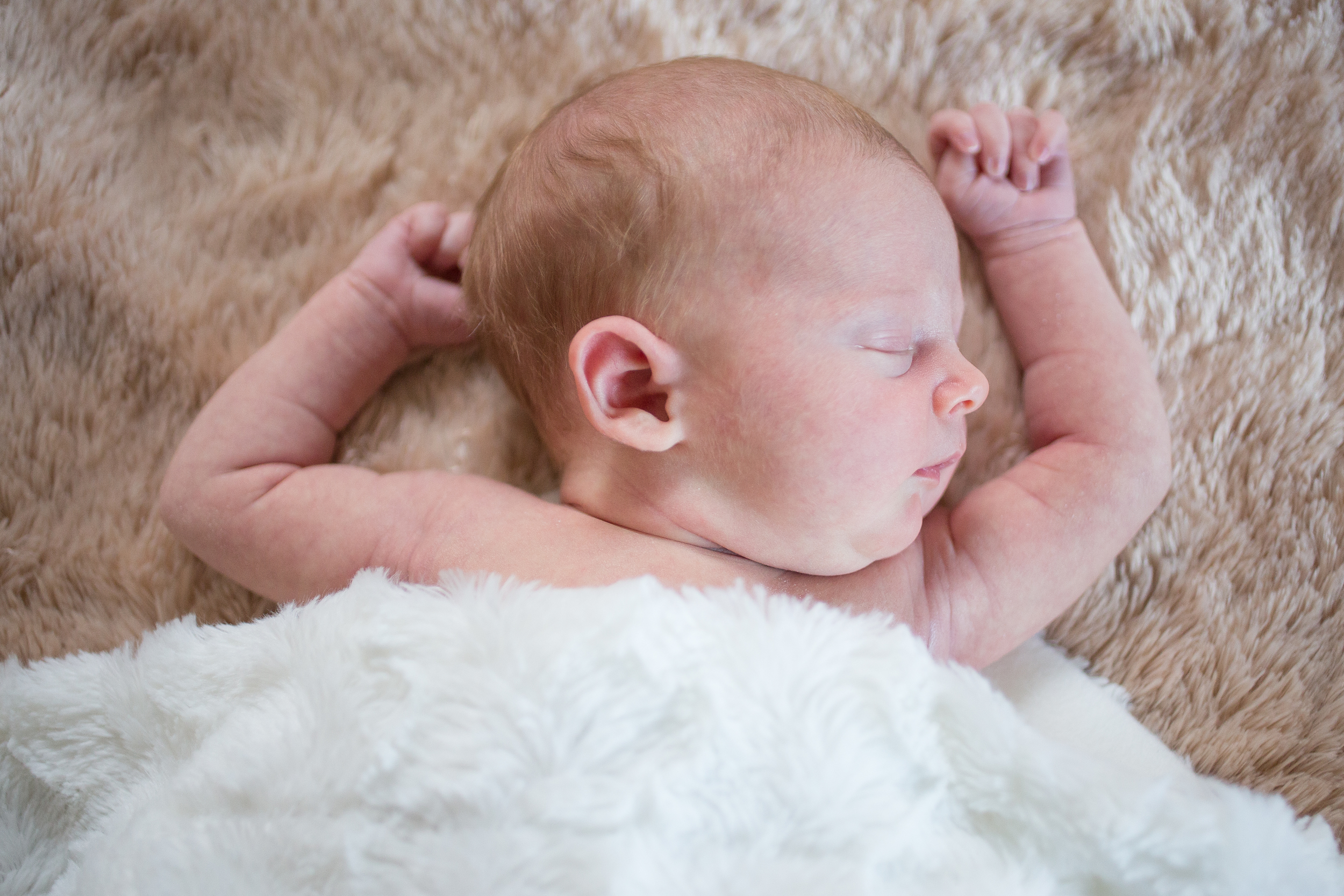 nora-newborn_0069.jpg