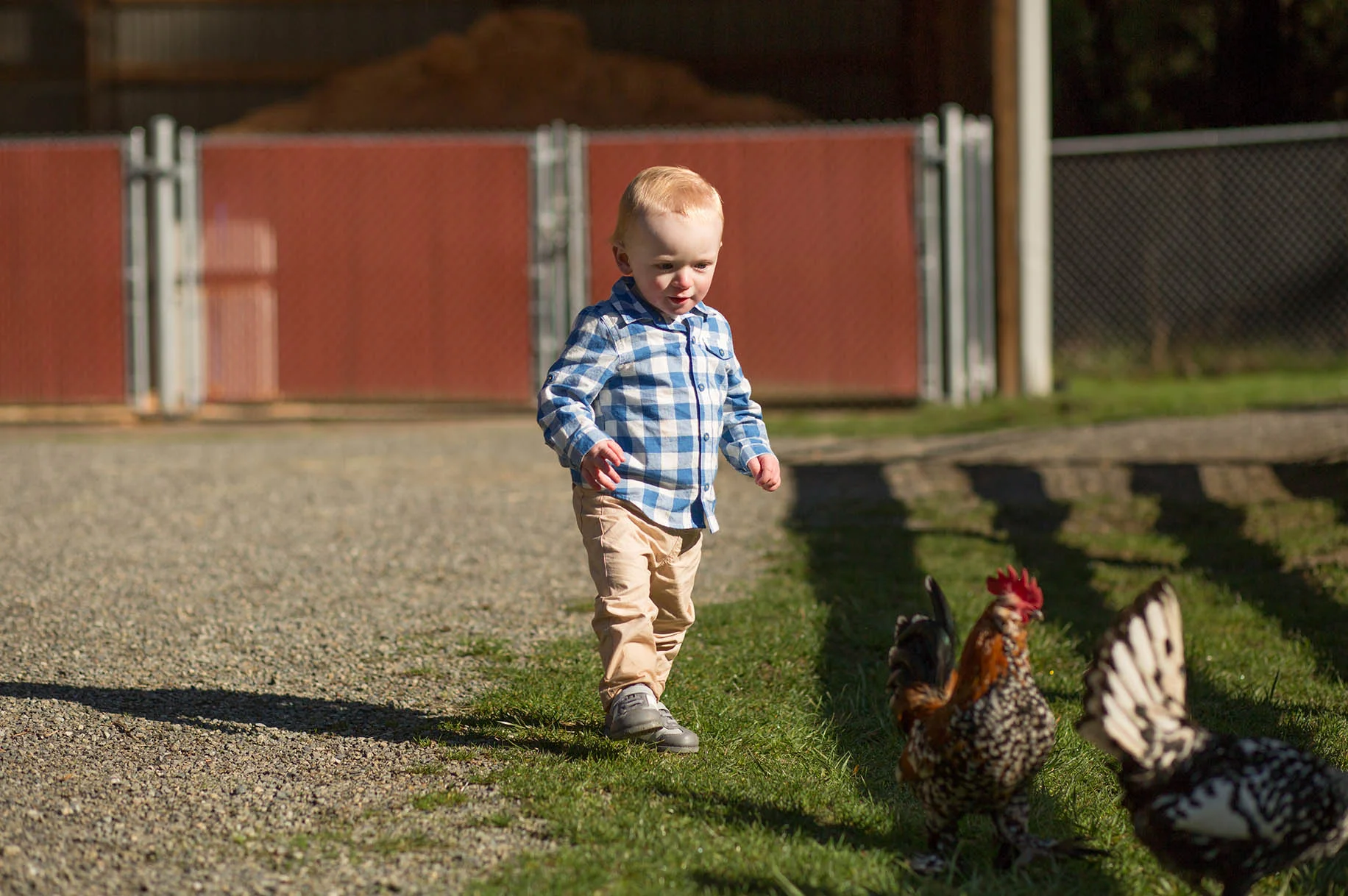 seattle family photographers entwined portraits
