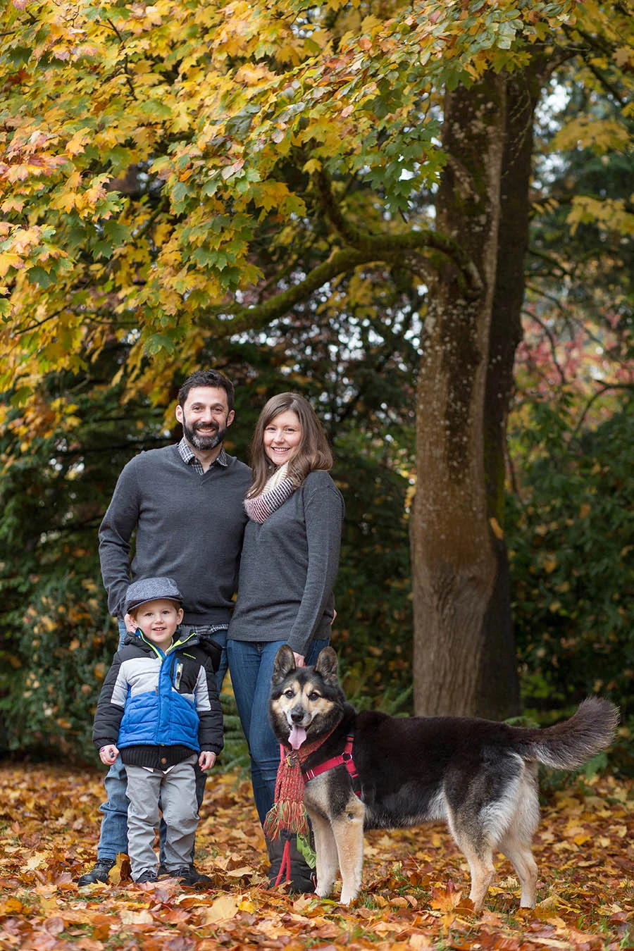 Best Family Photographer Seattle and Eastside