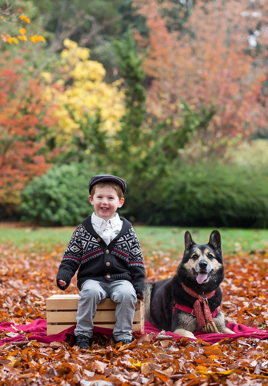 Best Family Photographer Seattle and Eastside