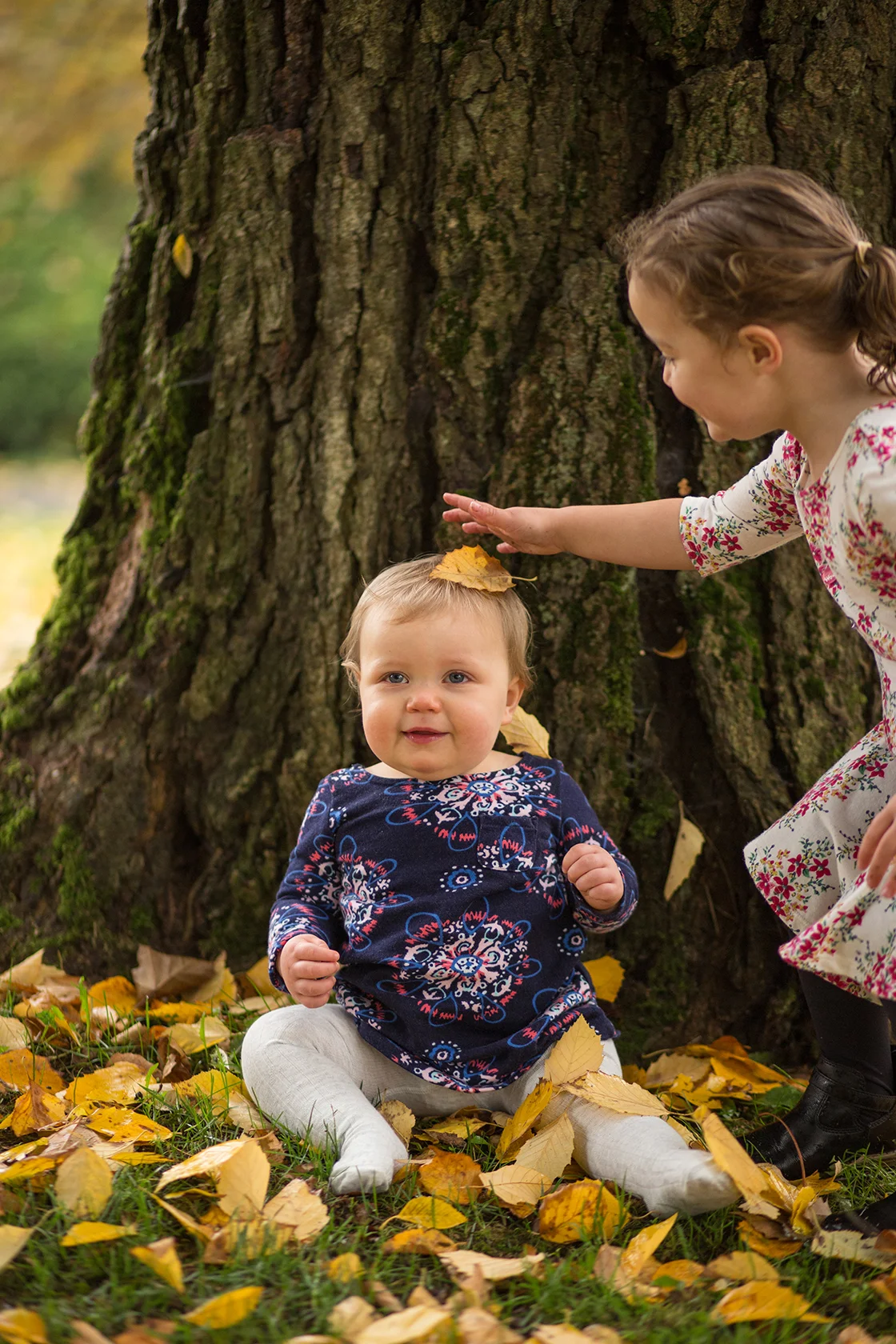 Marymoor Park Redmond Family Photographers