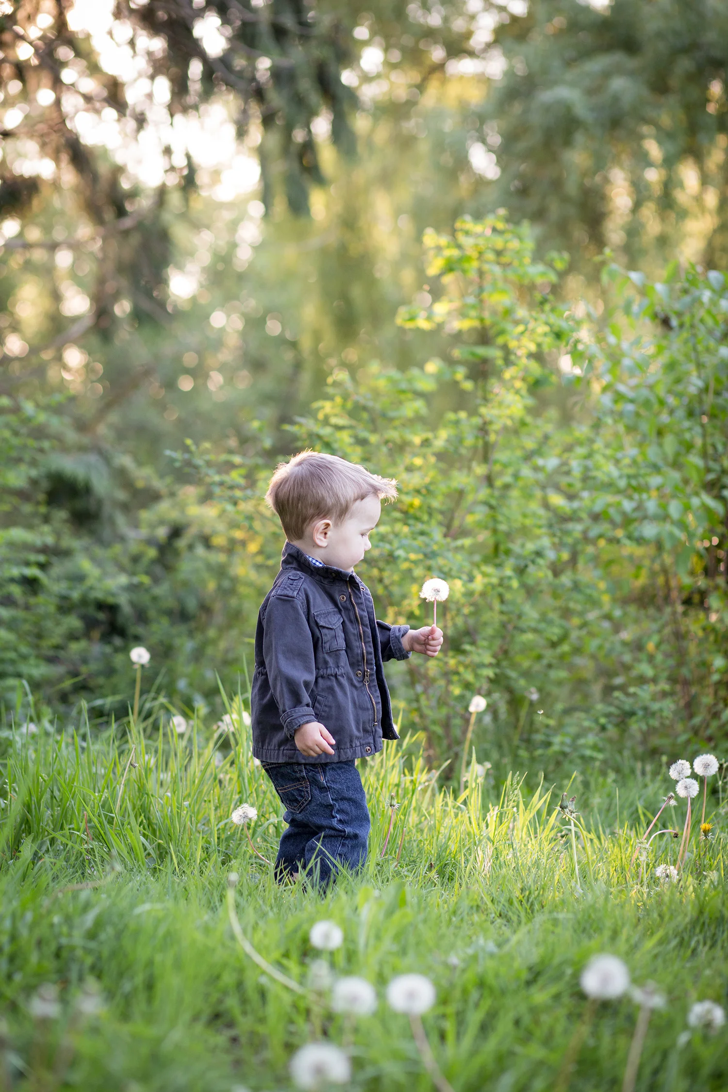 Best Seattle family photographers Entwined Portraits