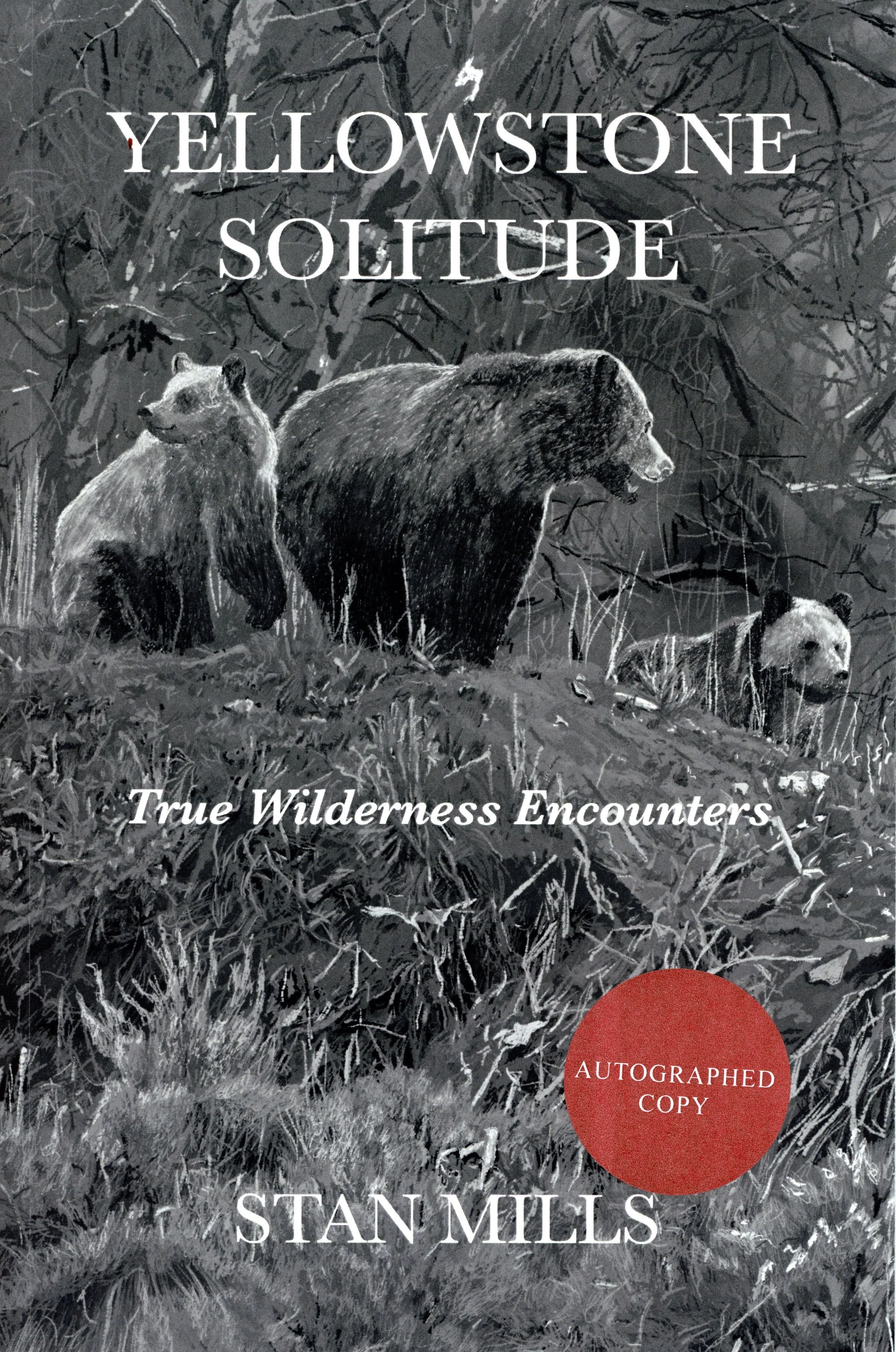 Yellowstone Solitude.jpg