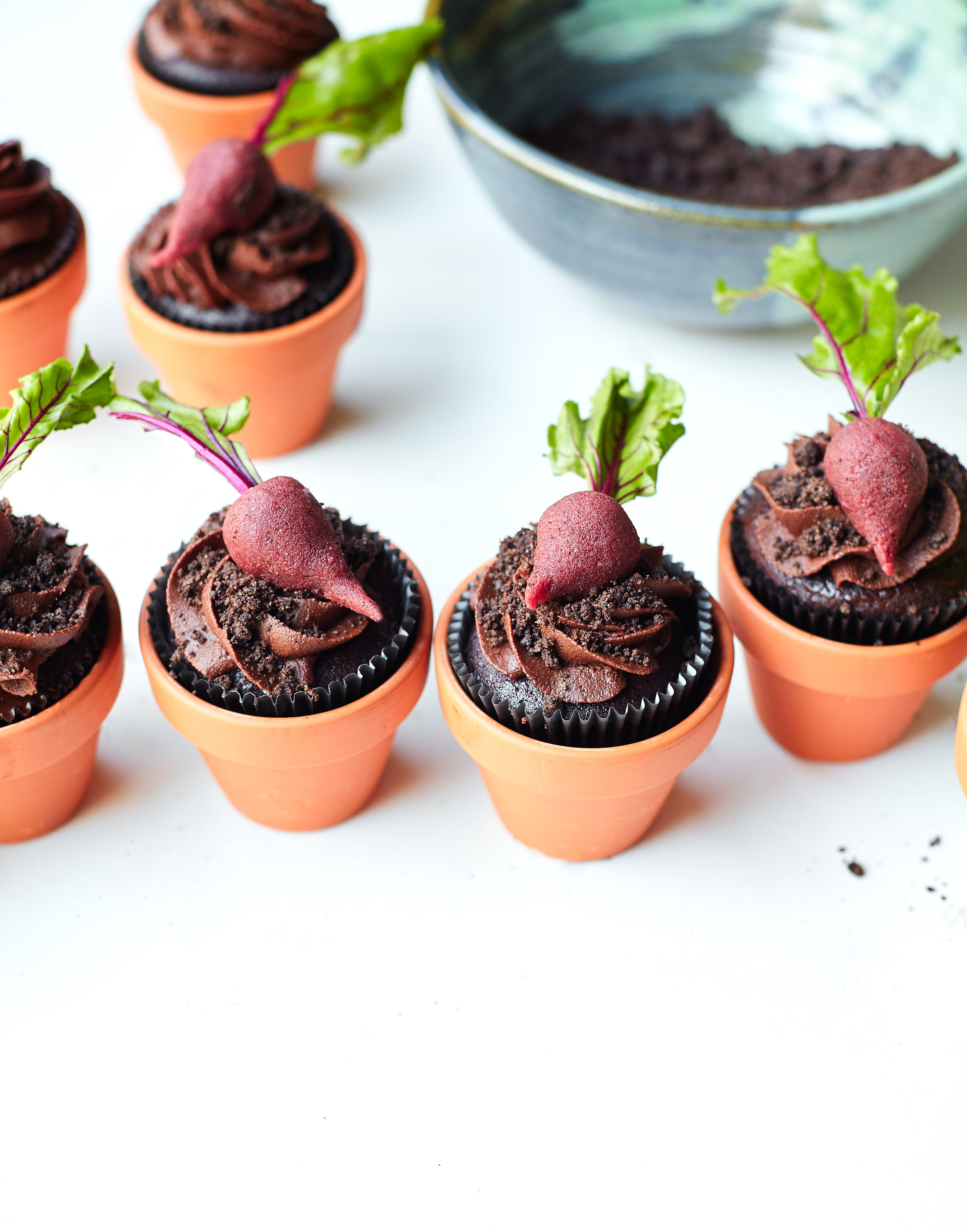 EARTH DAY - BEETS AND DIRT CUPCAKES - II
