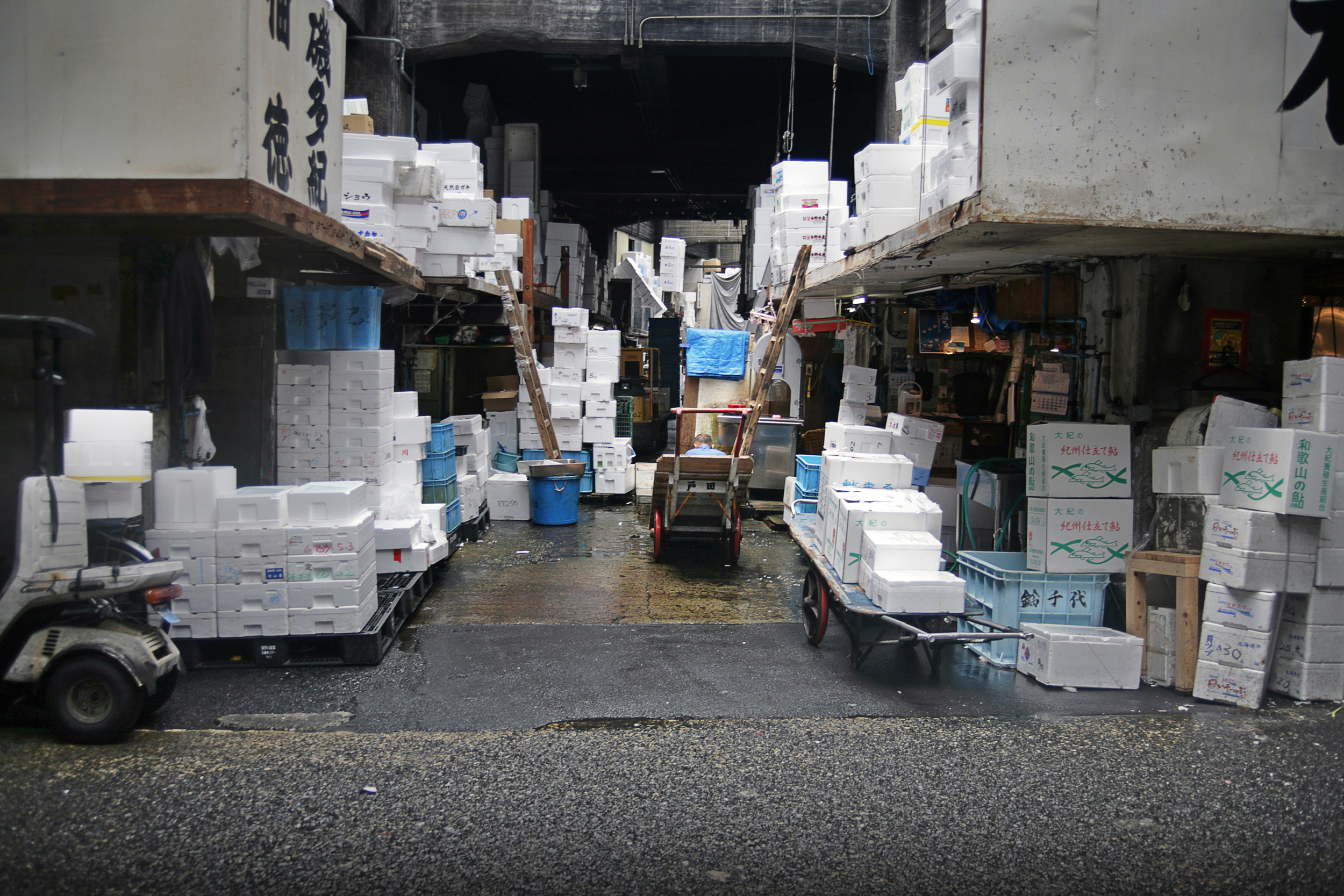 FISH_BOXES.jpg