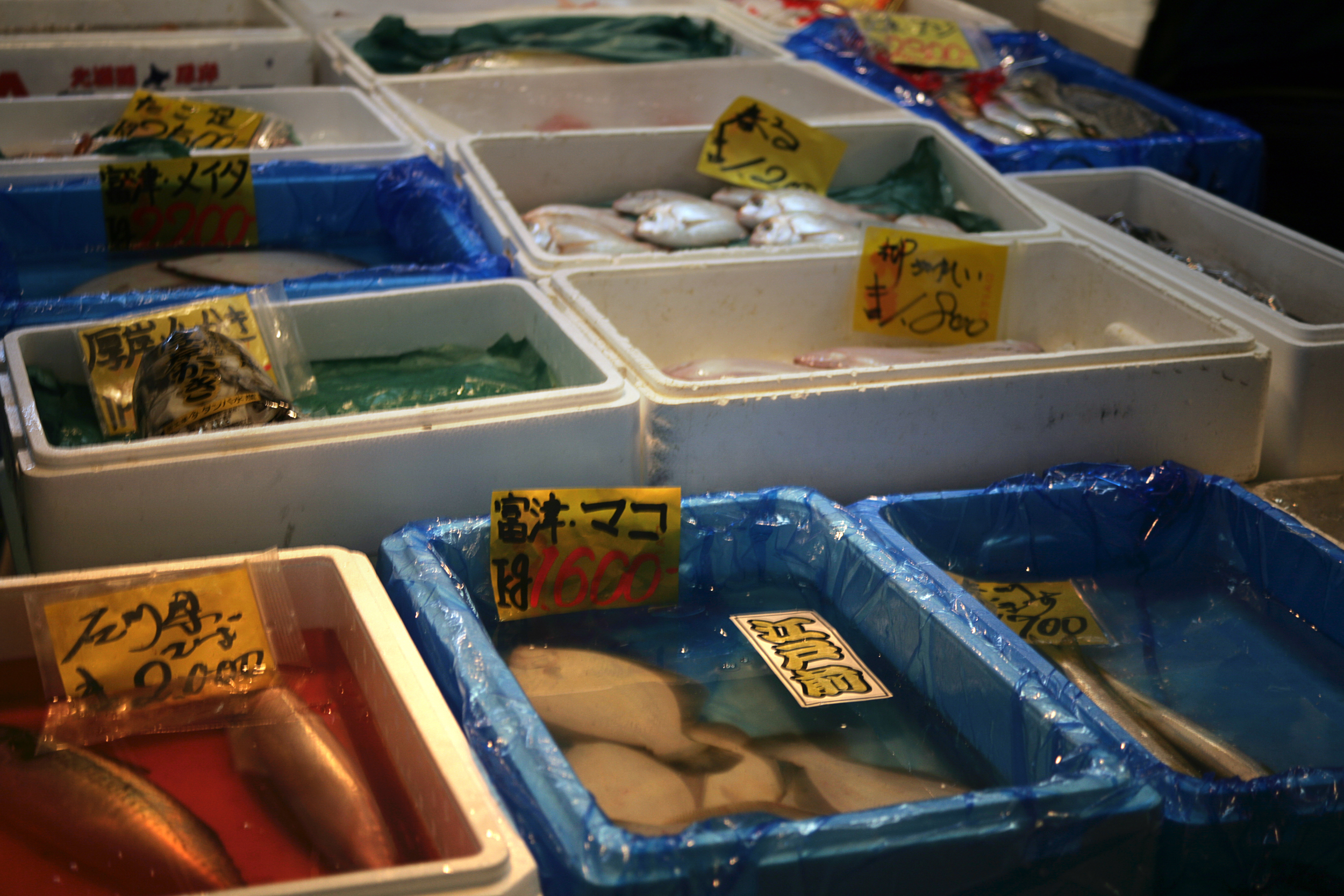 fish_tubs.jpg