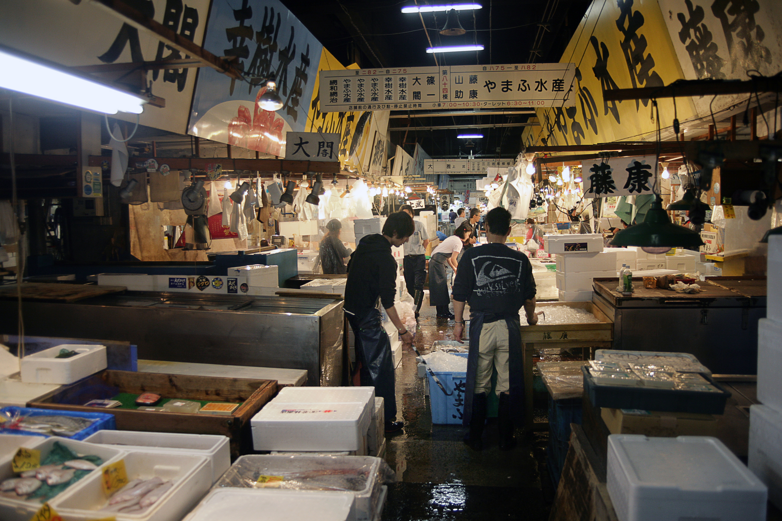 packing-fishes.jpg
