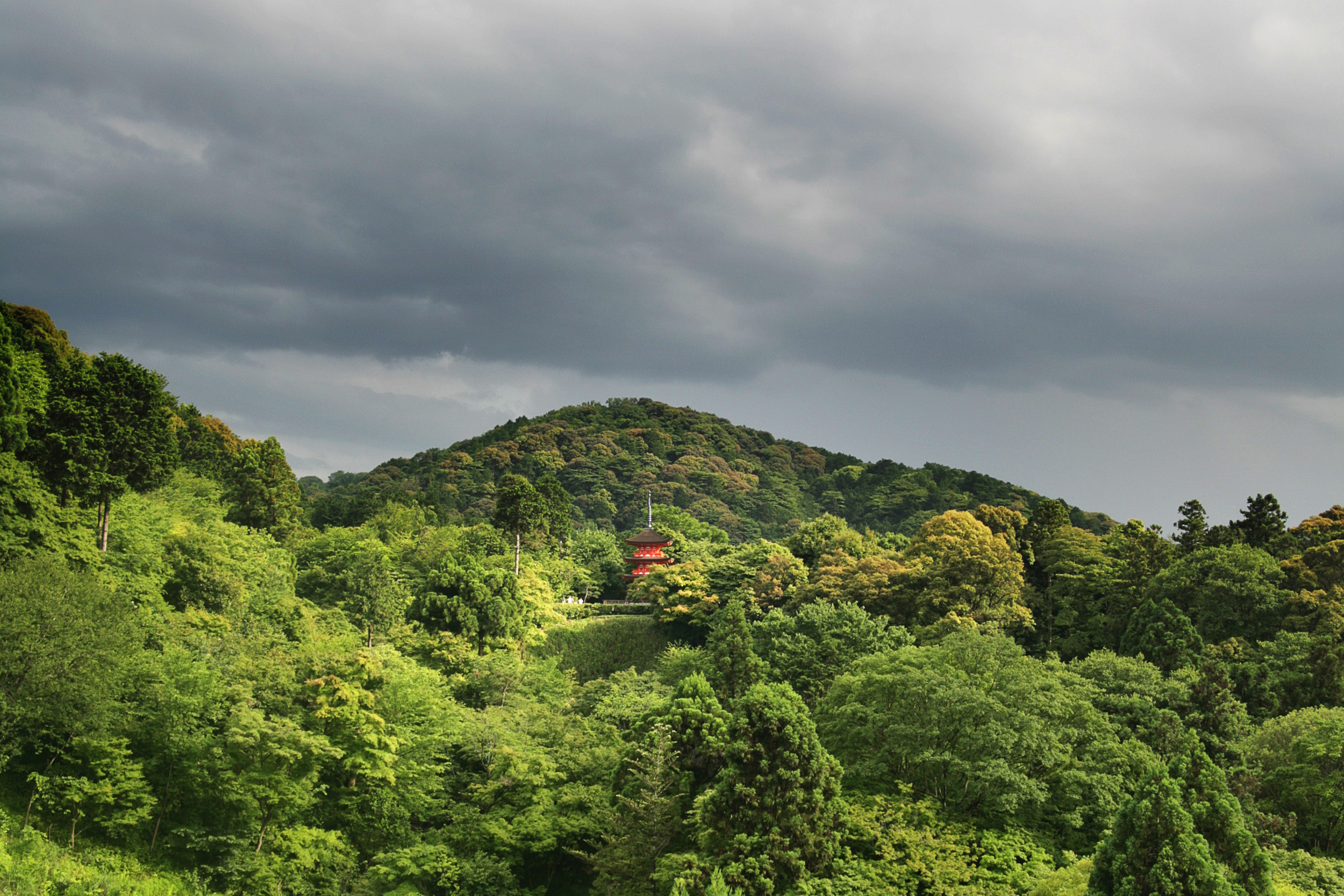 view_from_deck.jpg