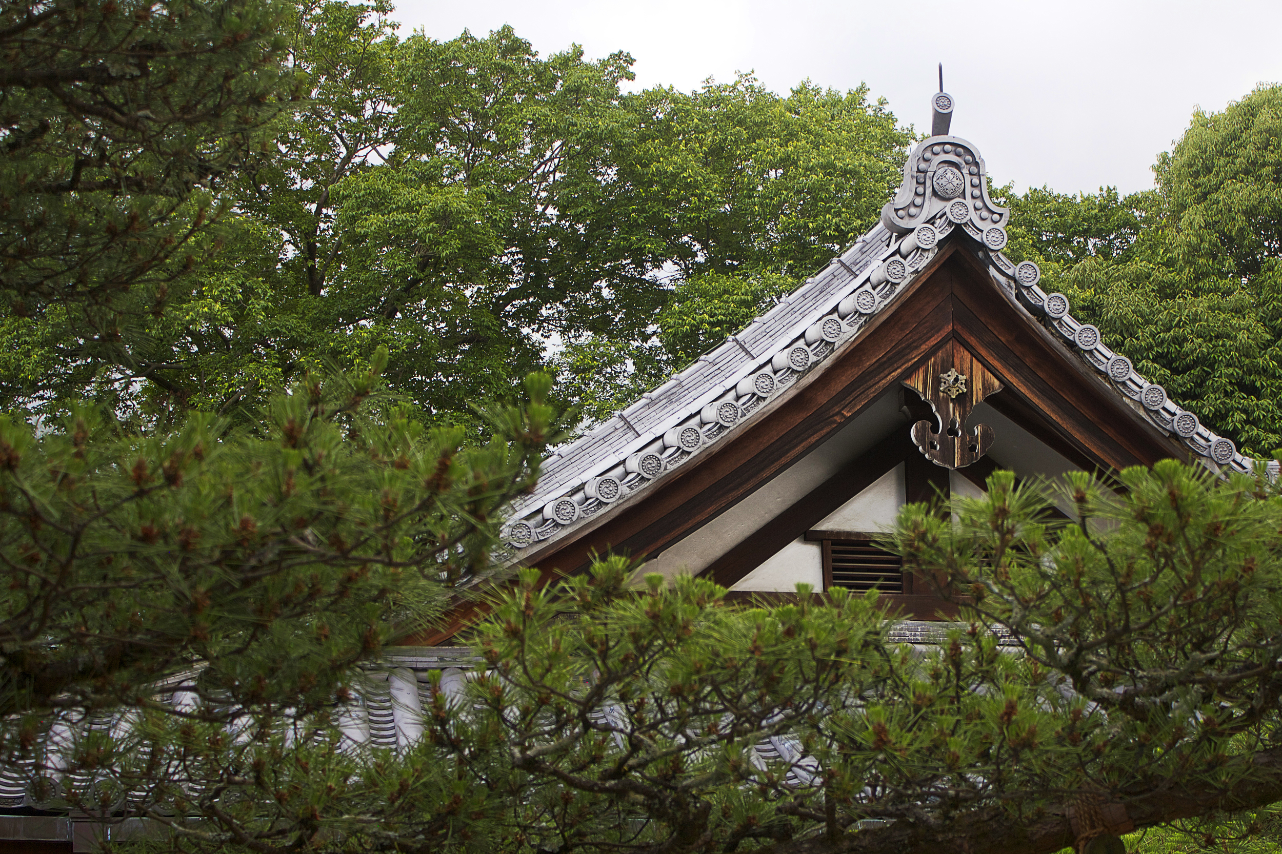 temple_top.jpg