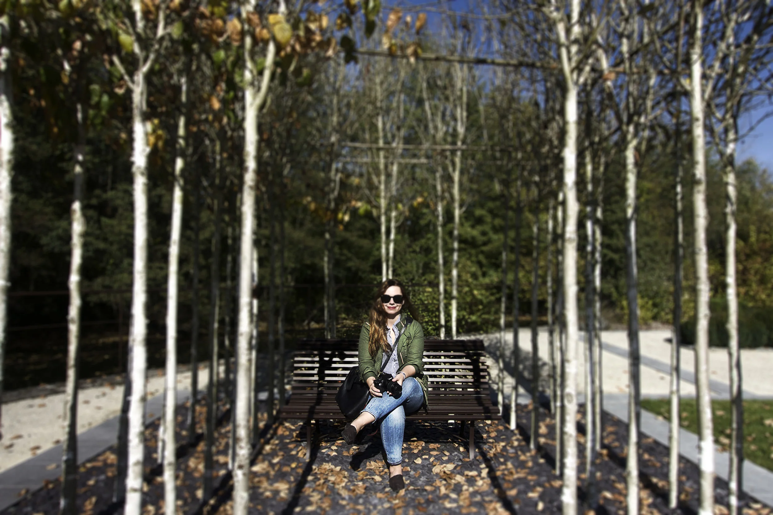 addie_bench.jpg