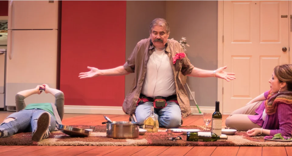 Meadow Brook Theatre | 2015