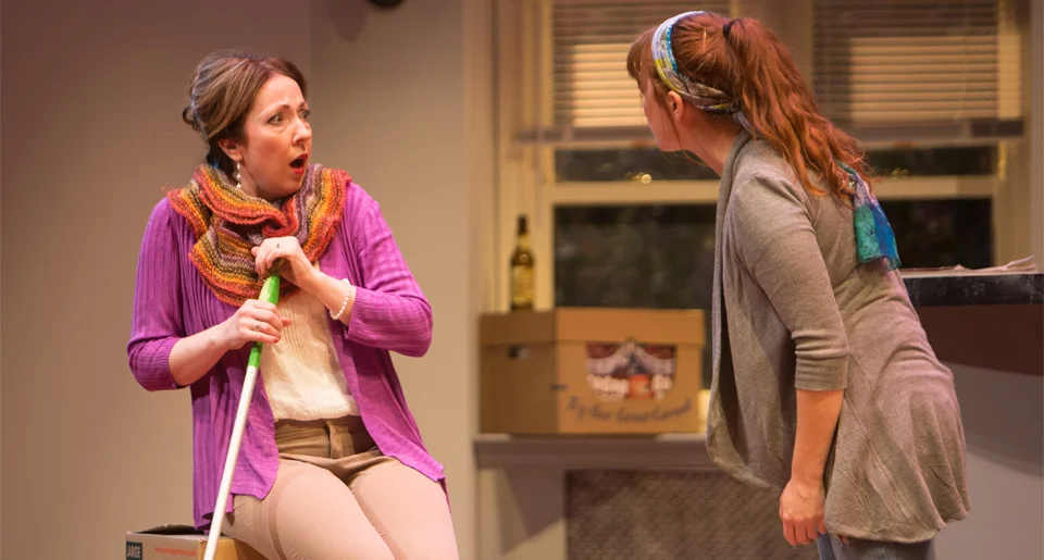 Meadow Brook Theatre | 2015