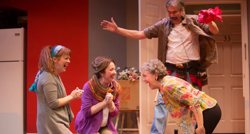 Meadow Brook Theatre | 2015
