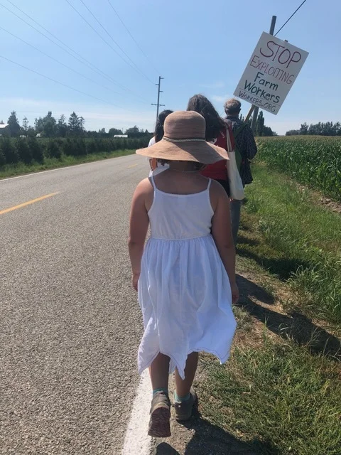 12-mile march to reflect on a day in the life of a farm worker. At the head of the march is an elderly migrant farm worker being pushed in a wheel chair. He set the pace for others to follow.