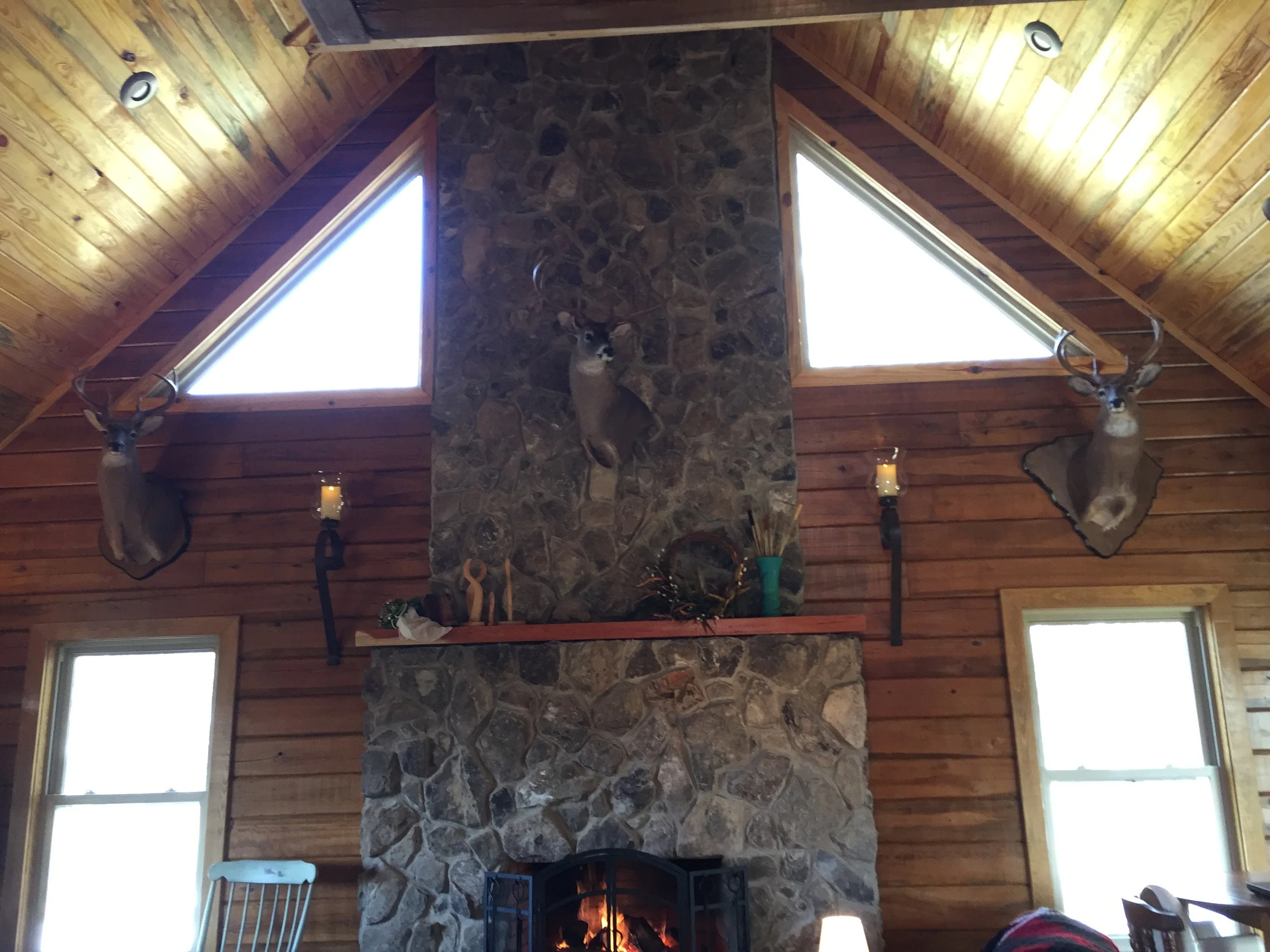 2016-01-23 13.45.32.jpg