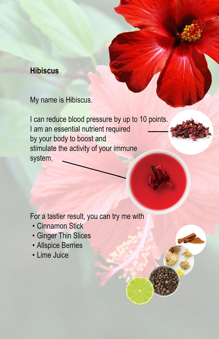 05. Hibiscus.jpg