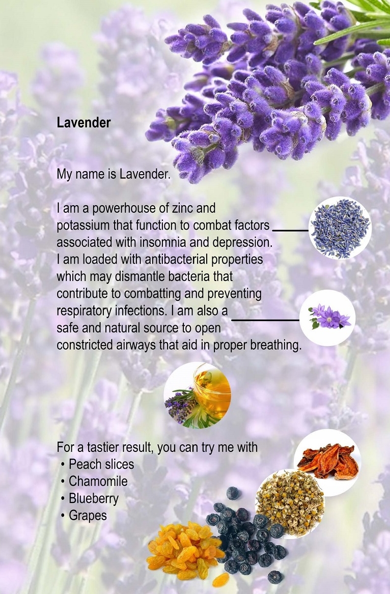 06. Lavender.jpg