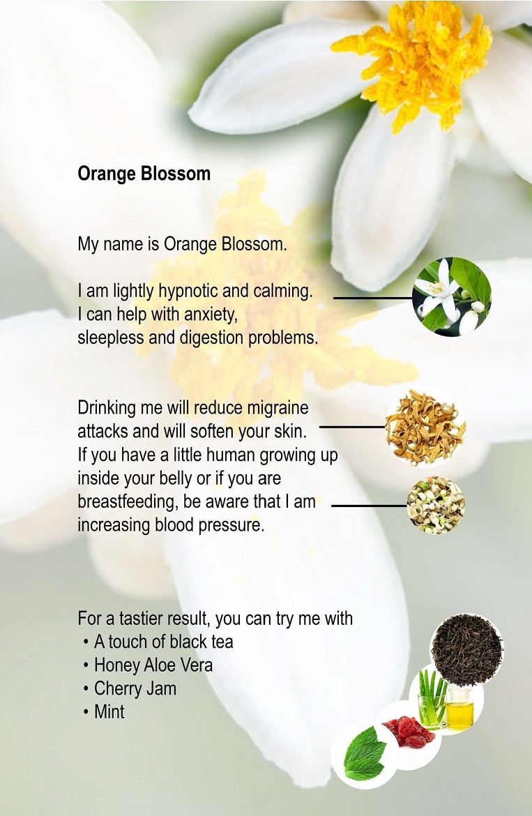 10. Orange Blossom.jpg