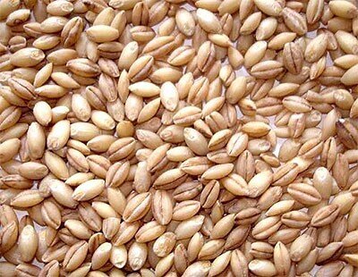 Peeled+Wheat.jpeg