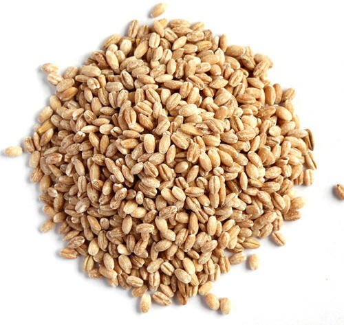 Peeled+Barley.jpeg