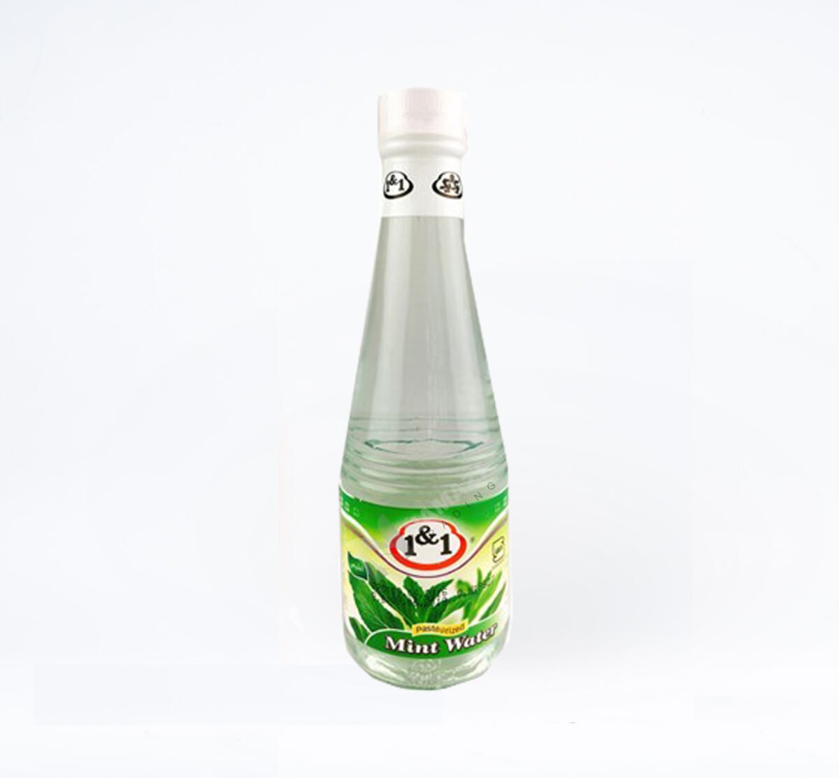 1&1 Mint Water.jpeg