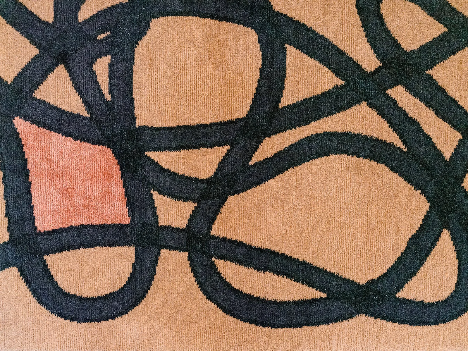 Brio Rug Line (22).jpg