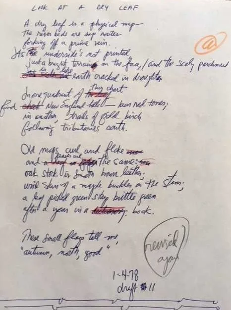 Draft #11 of “Look at a Dry Leaf” in author’s notebook, January 1978.
