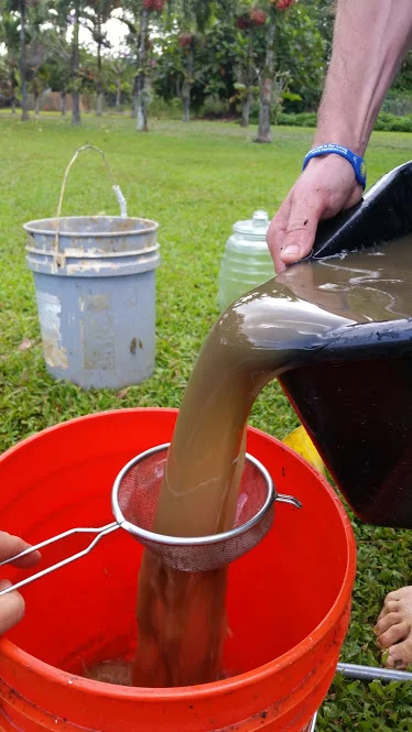 Make sure to strain all biofertilizers before use.