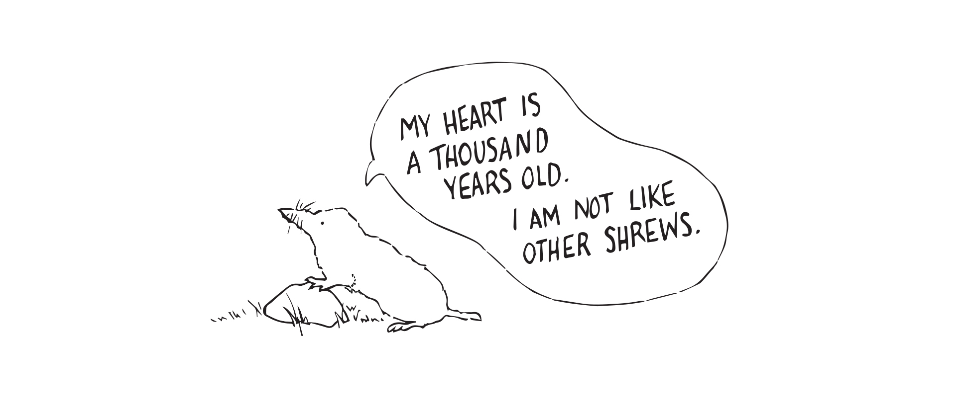 shelbyalex_bukowski_shrew.jpeg