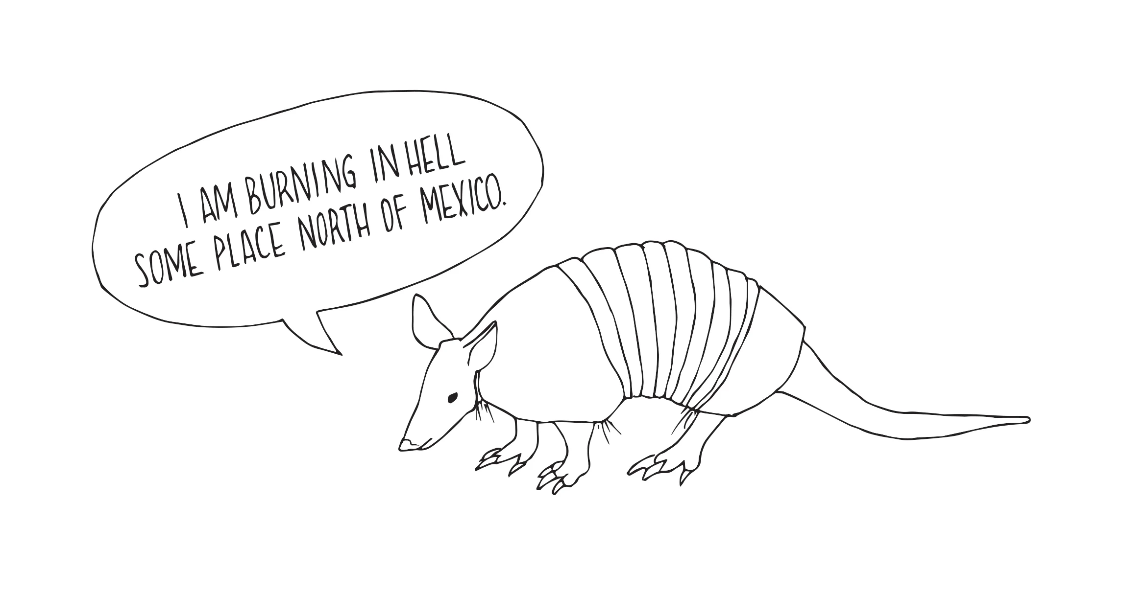 bukowski_armadillo.jpg