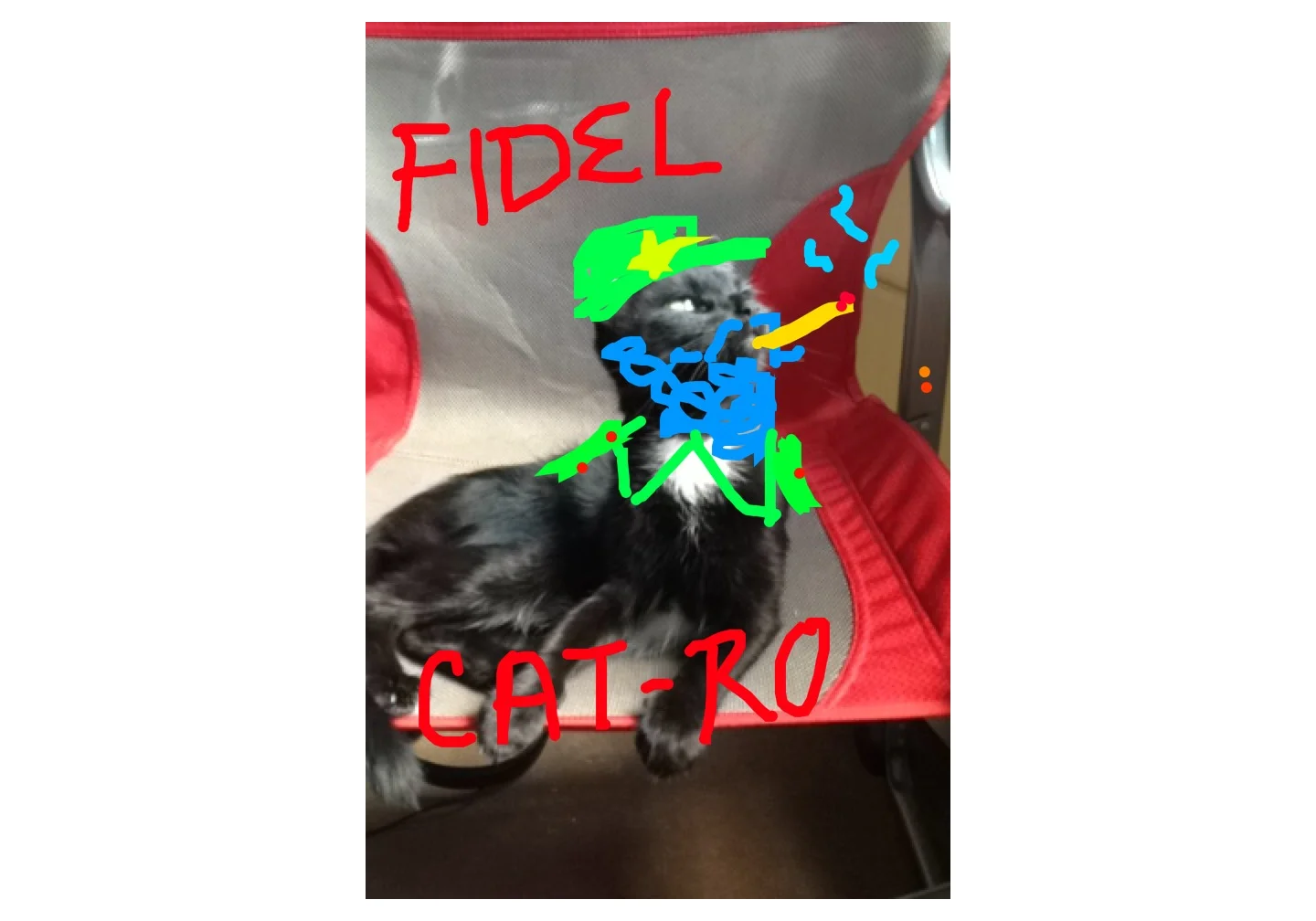 Fridel Catro.jpg