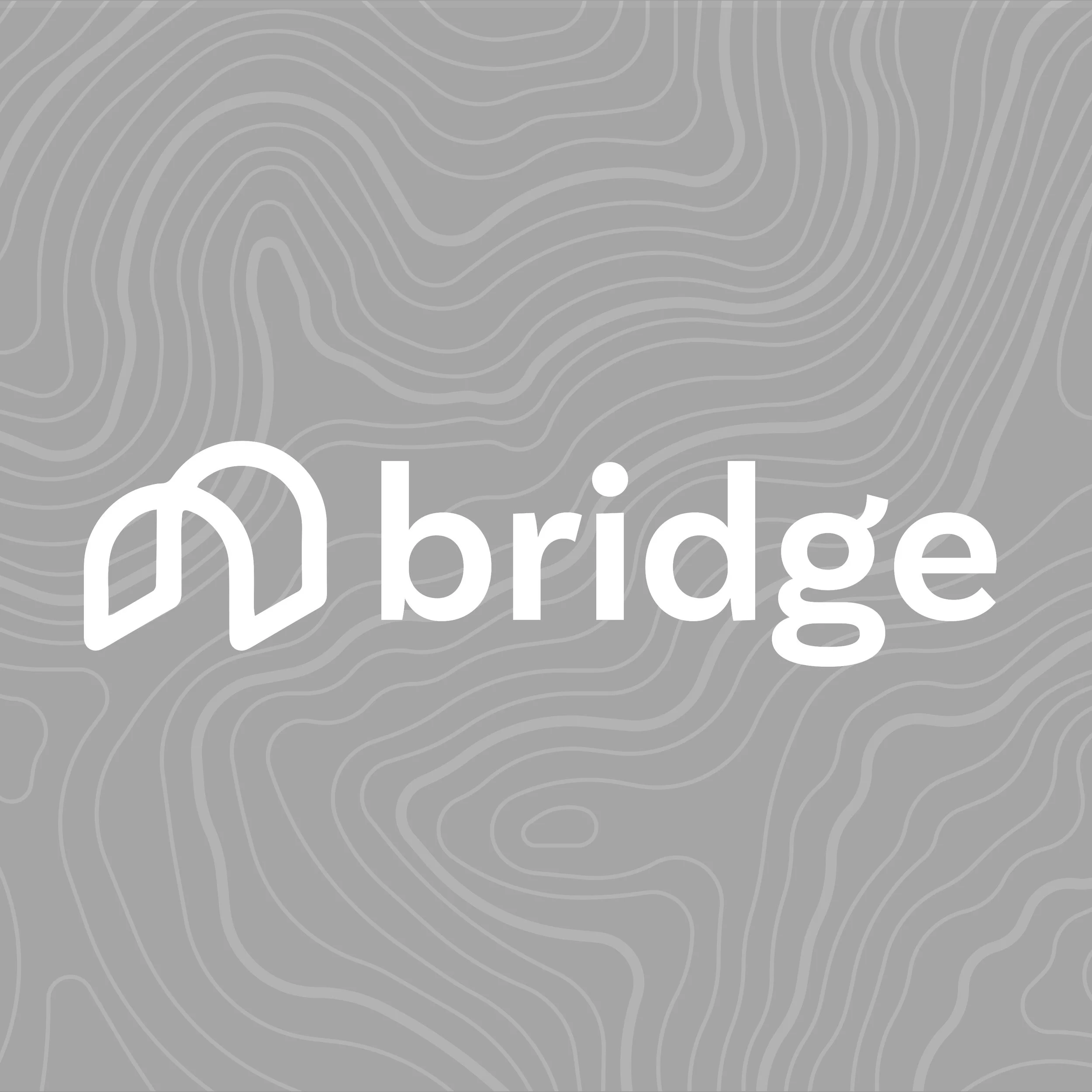 Bridge-Squarespace_cover.jpg