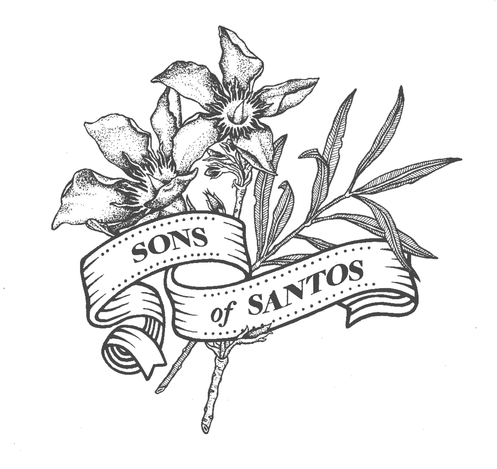 Shelby_Alexander-Sons-of_Santos-Cover.jpg