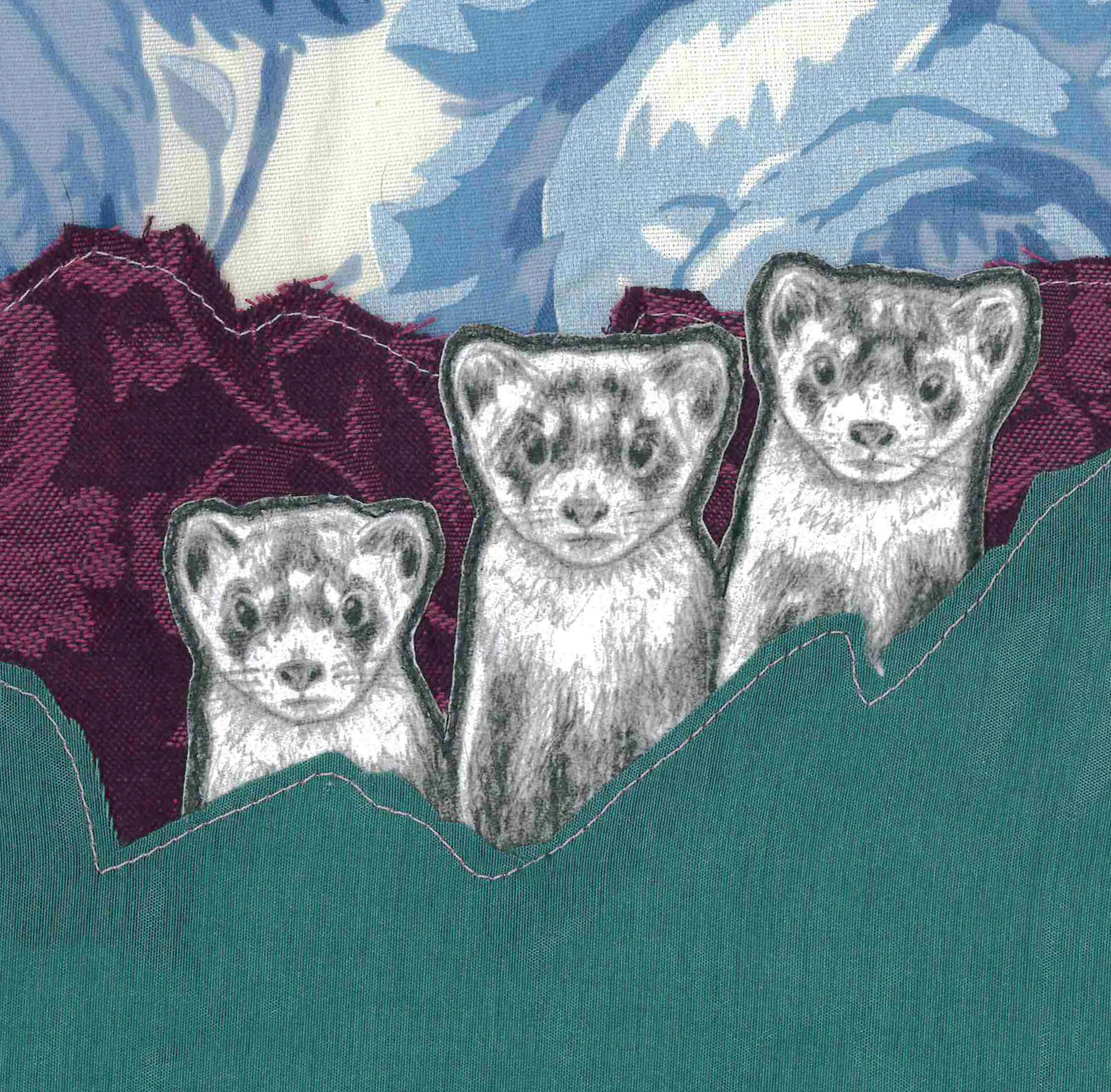 ShelbyAlexander-6x6_Ferrett.jpg