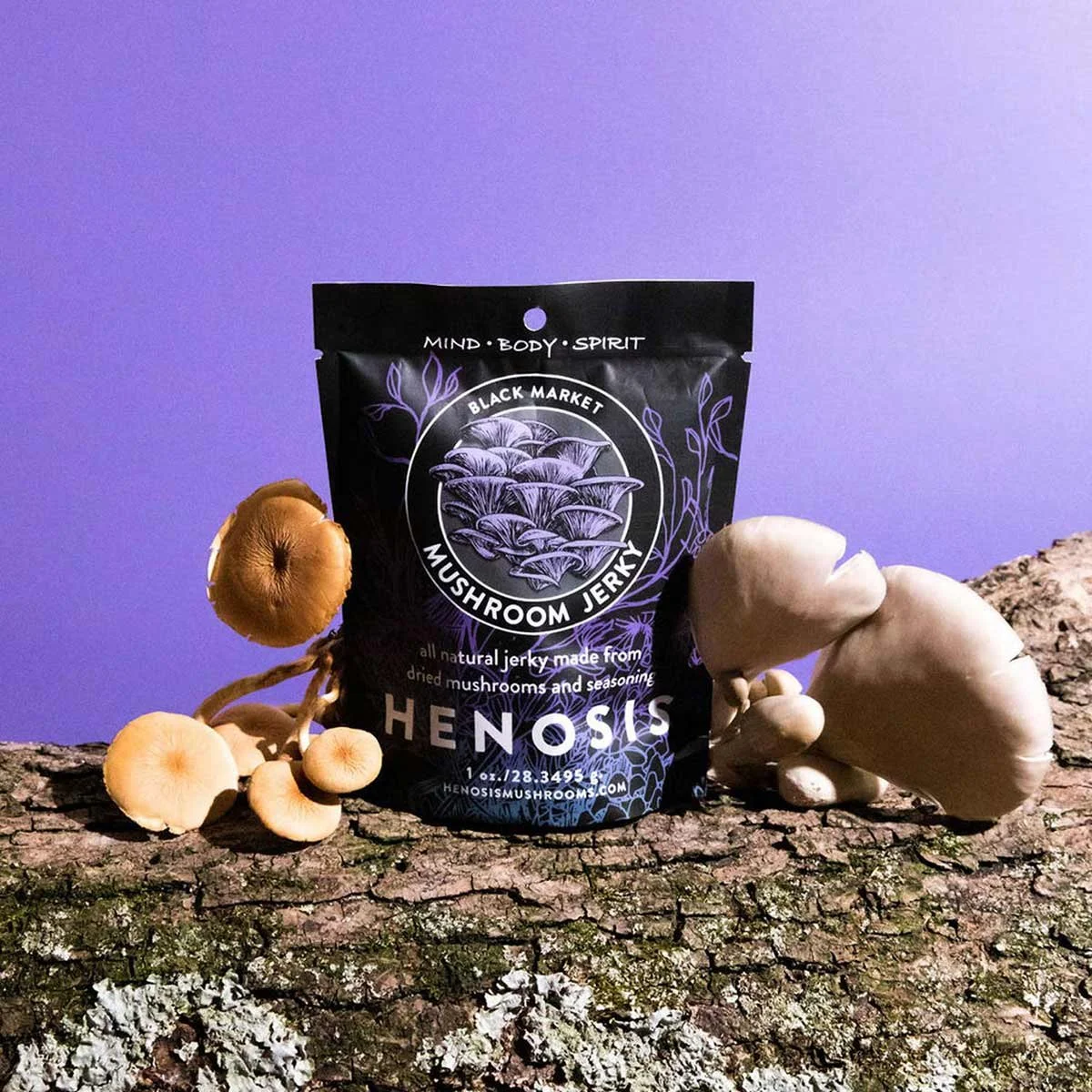 Umami Teriyaki Oyster Mushroom Jerky (Vegan Snack) — Henosis