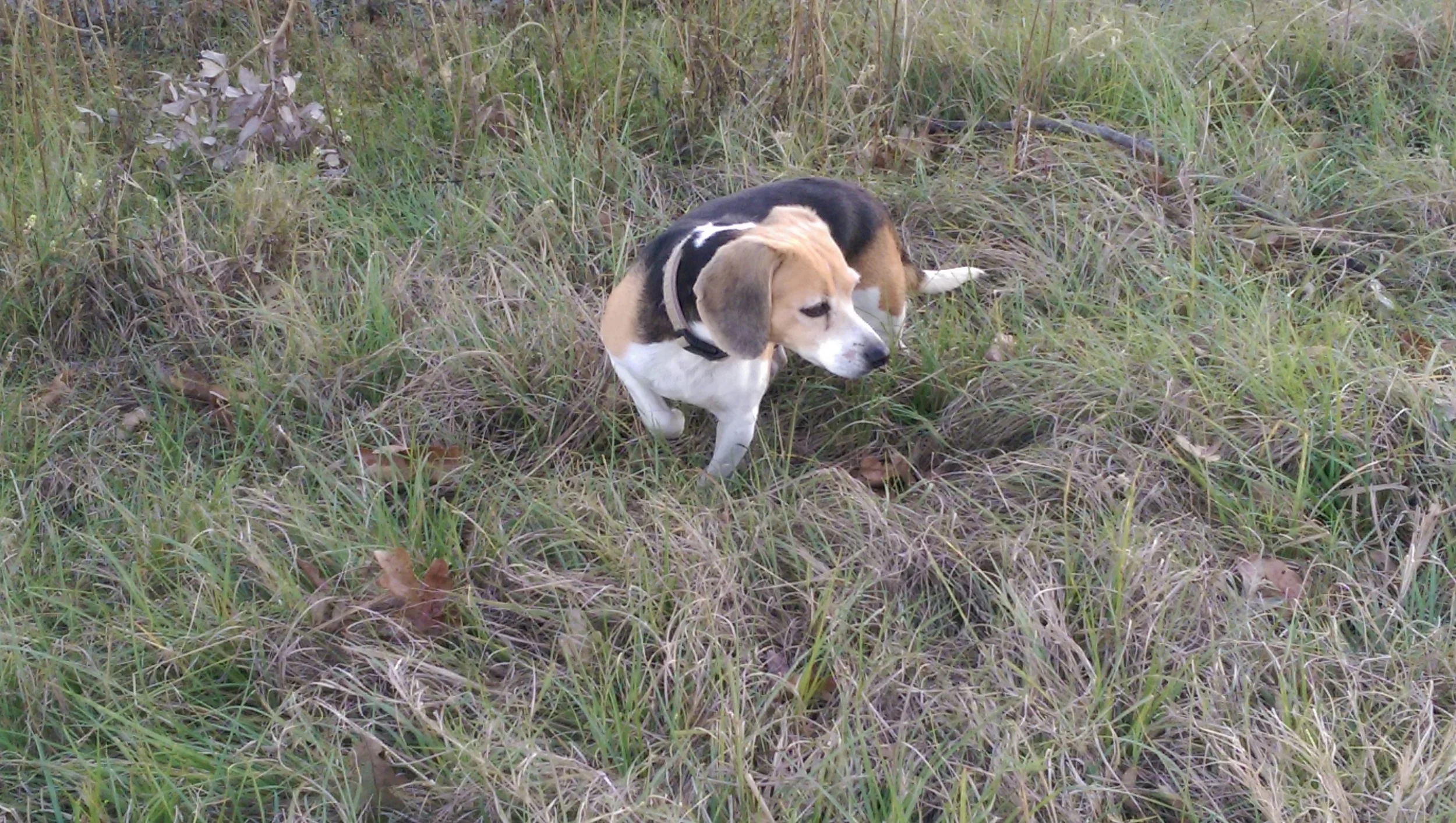 About Us — Victory Hill Ranch