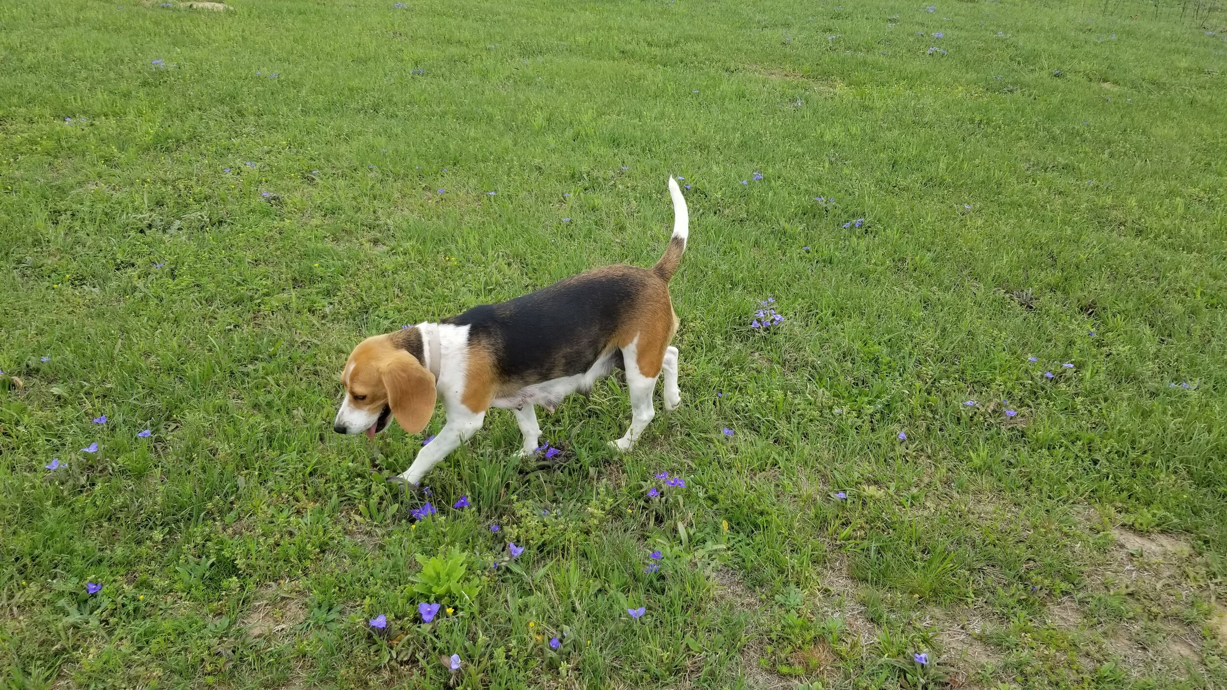 Our Adults — Victory Hill Ranch