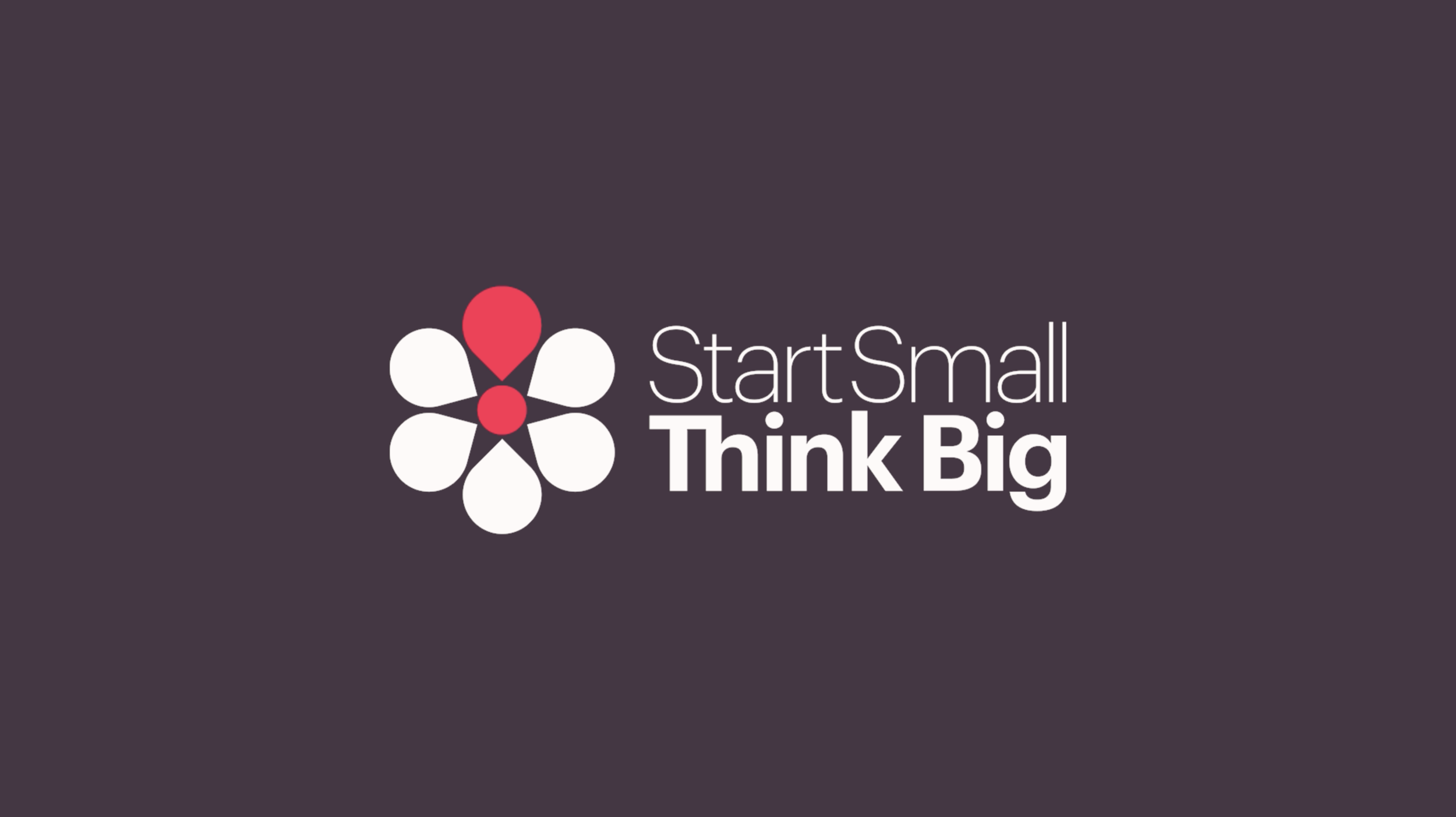 Start Small Think Big Rebrand Campaign
