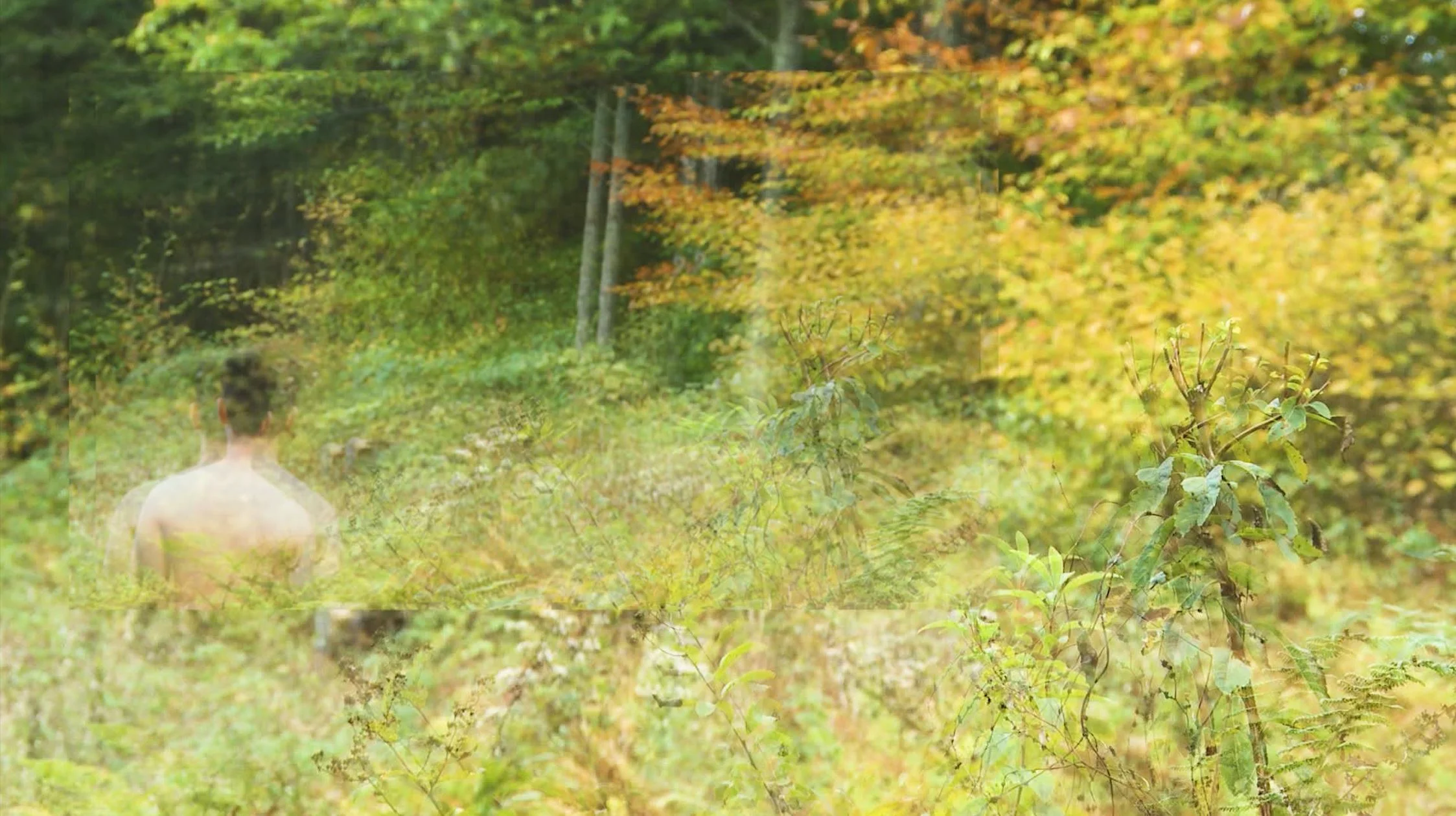 Artful Concealment and Strategic Visibility